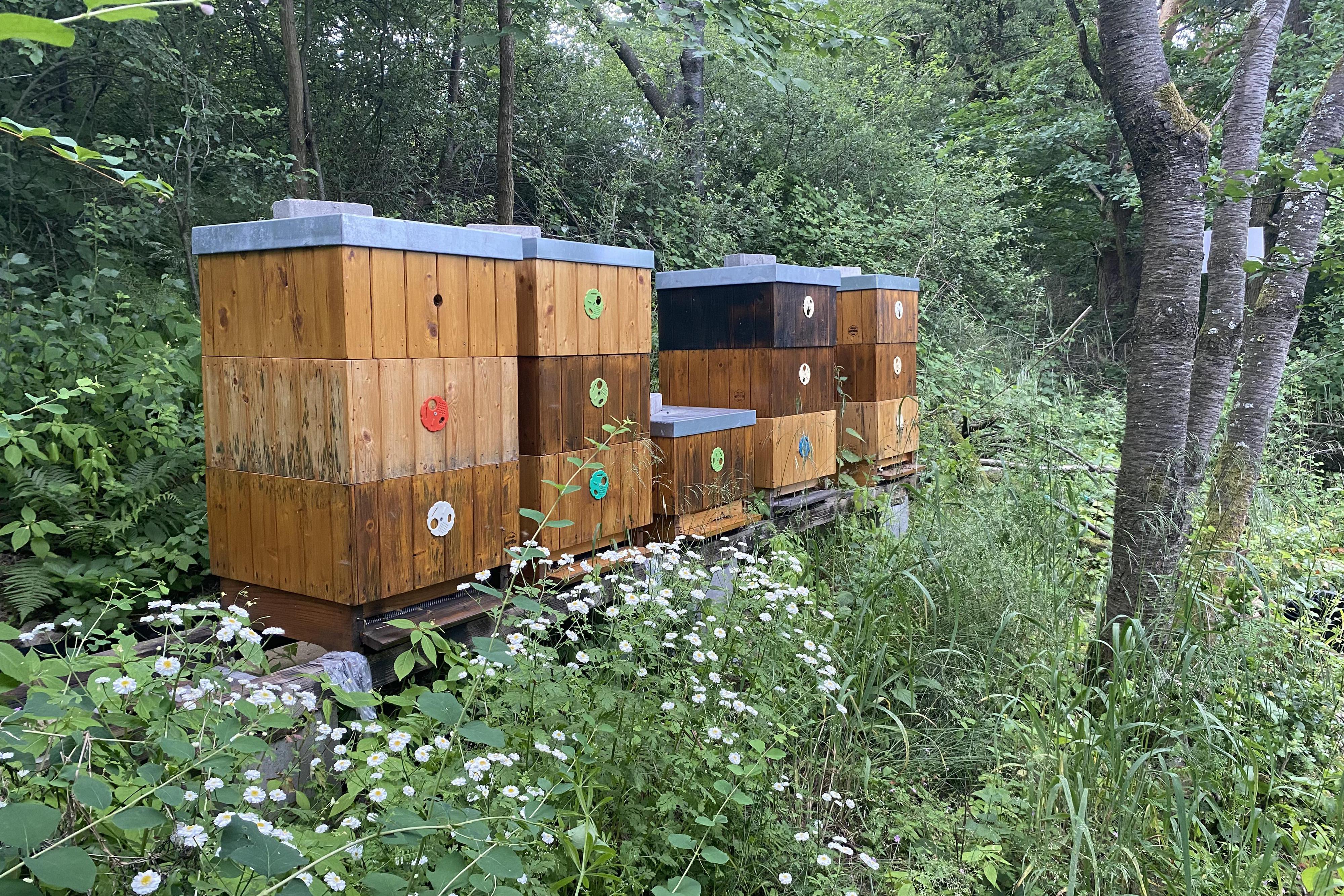 Včelařství Kubík