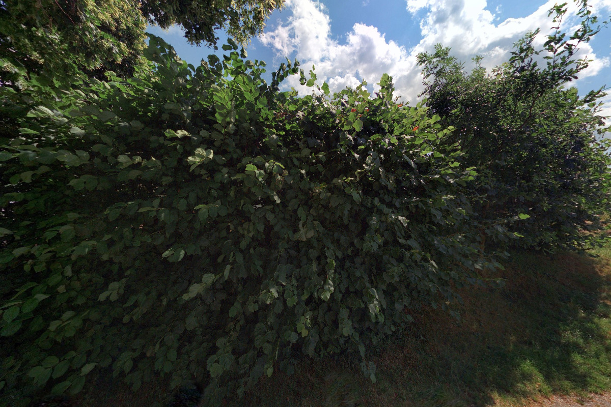 Otřes mozku, s.r.o.