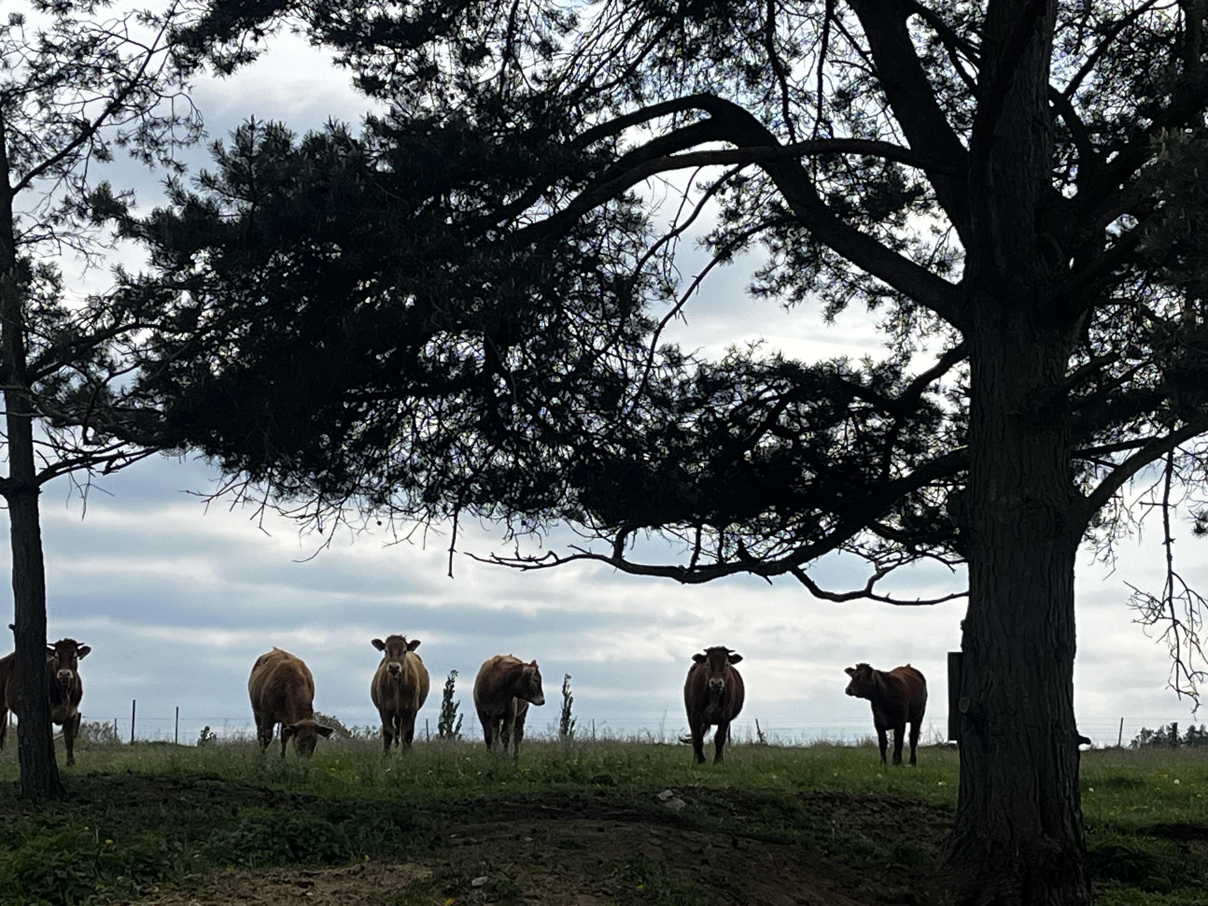 AGROFADO, s.r.o. foto 2