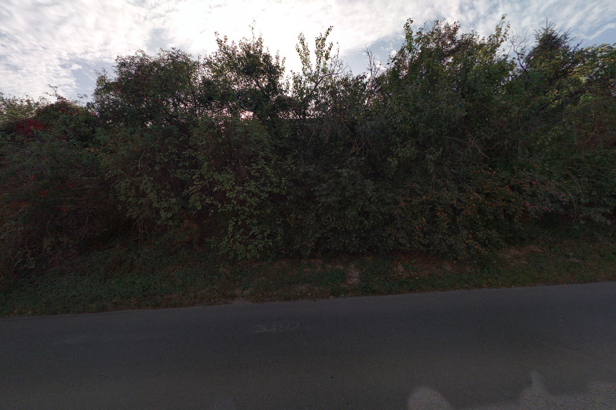 Květinářství Dagmar Komárková