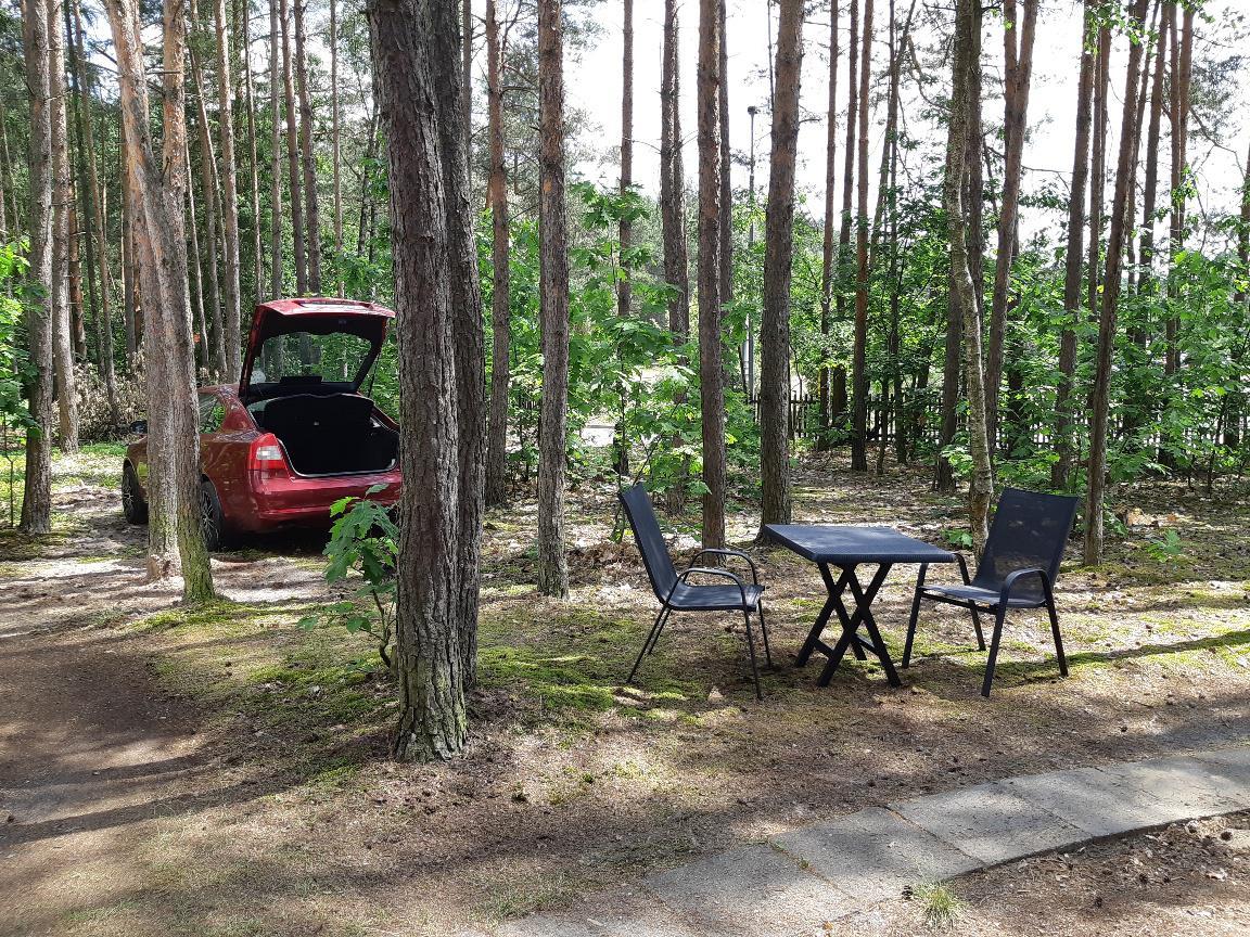 První dvě foto 4