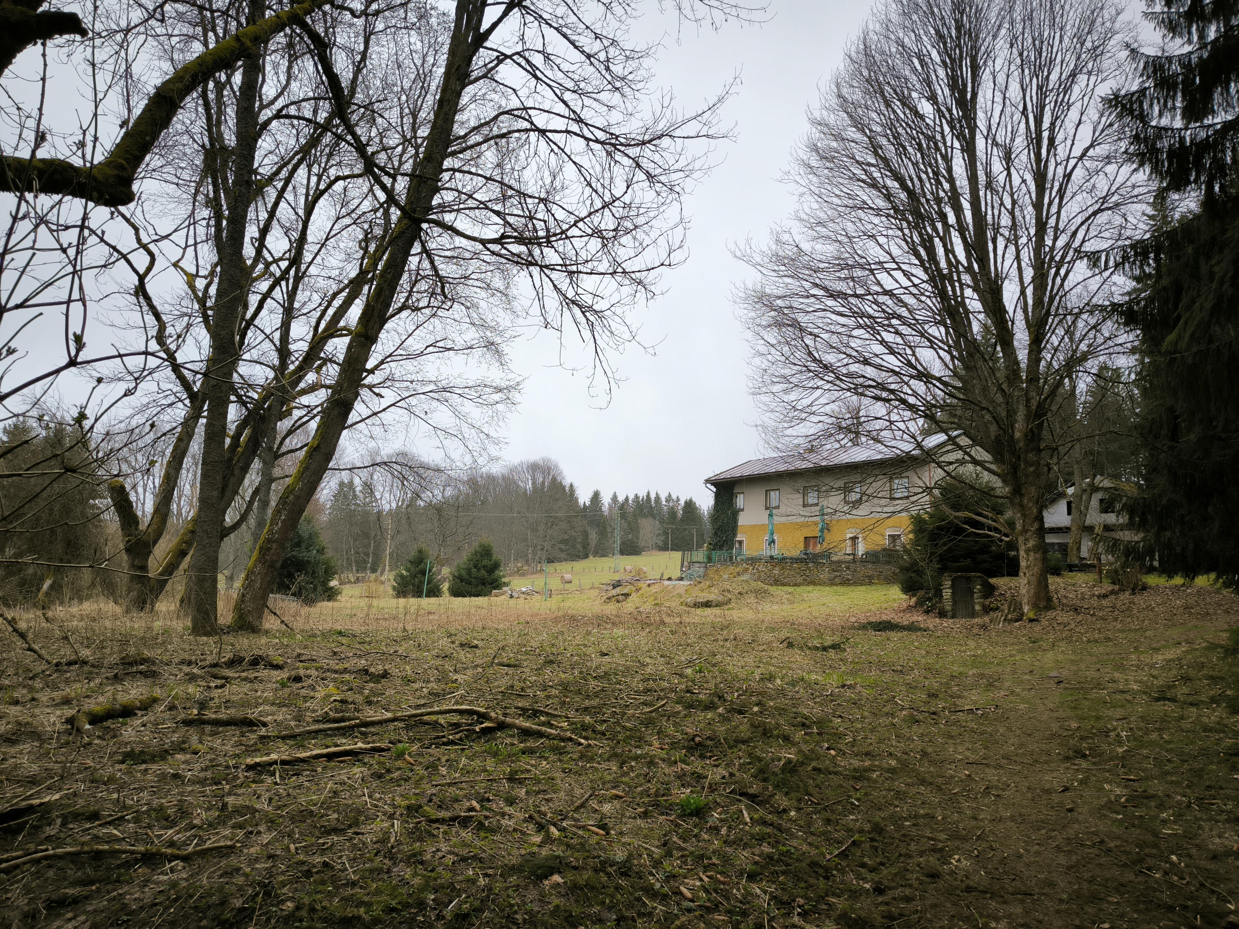 Penzion Kamenný dům Srní foto 5