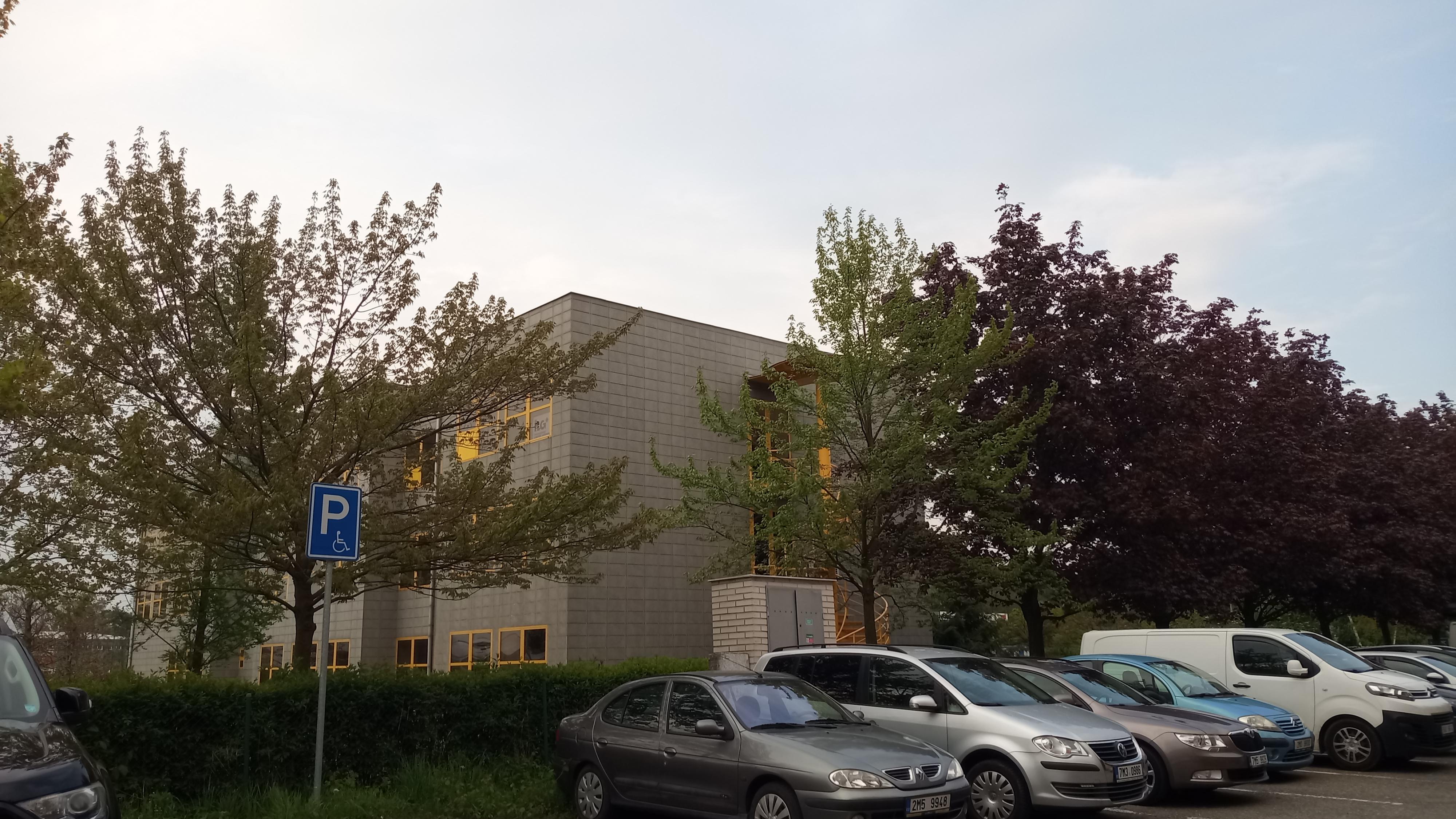 TERAFIX foto 4