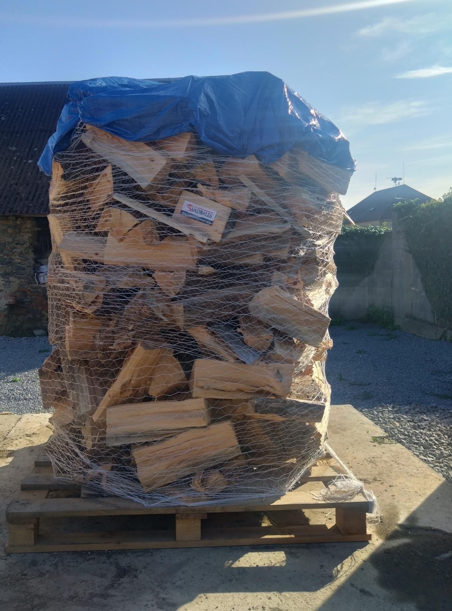 Martin Svadba - Svadbales foto 2