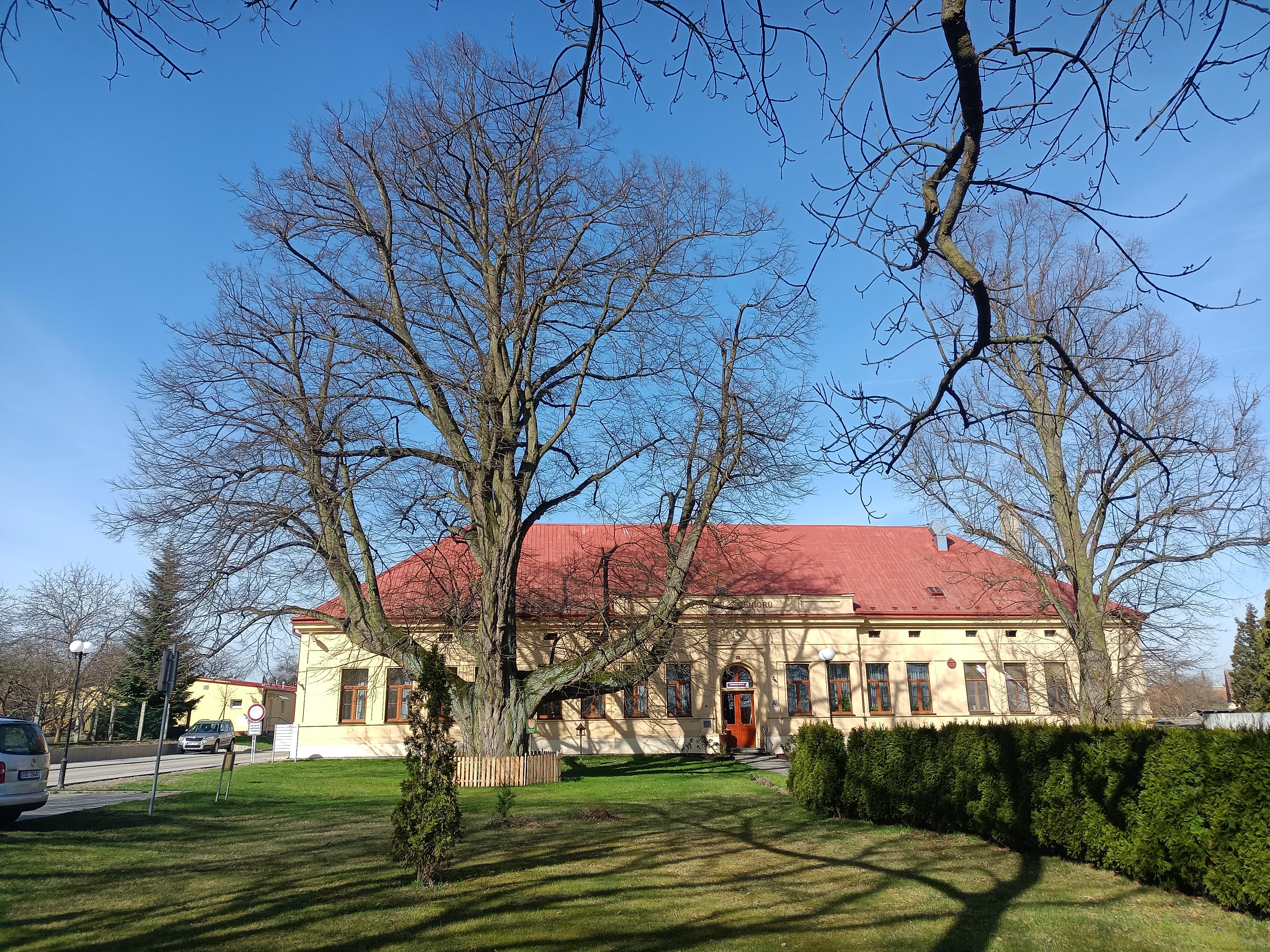 Domov seniorů Nové Strašecí foto 2