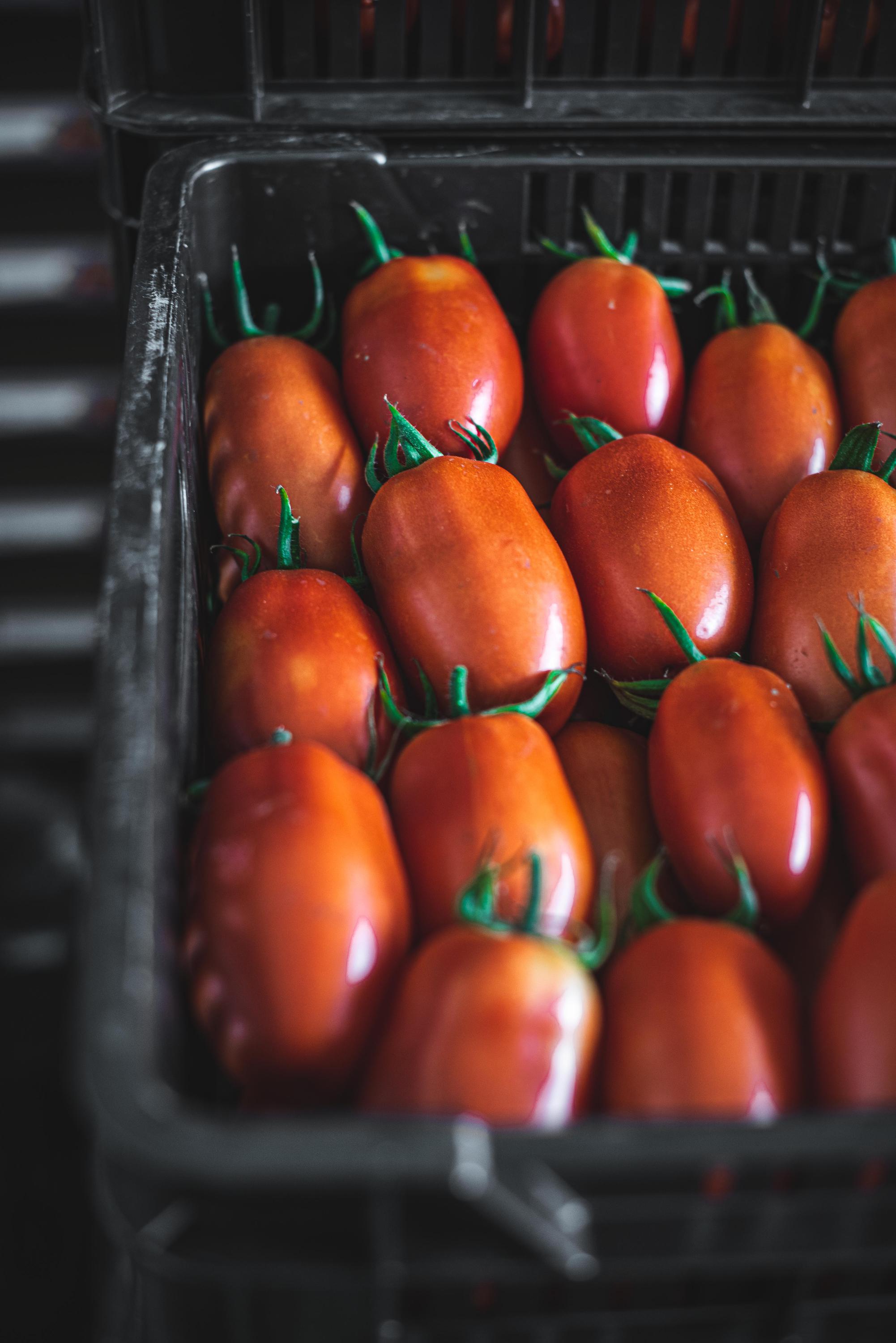 Farma Ráječek - prodejna foto 3