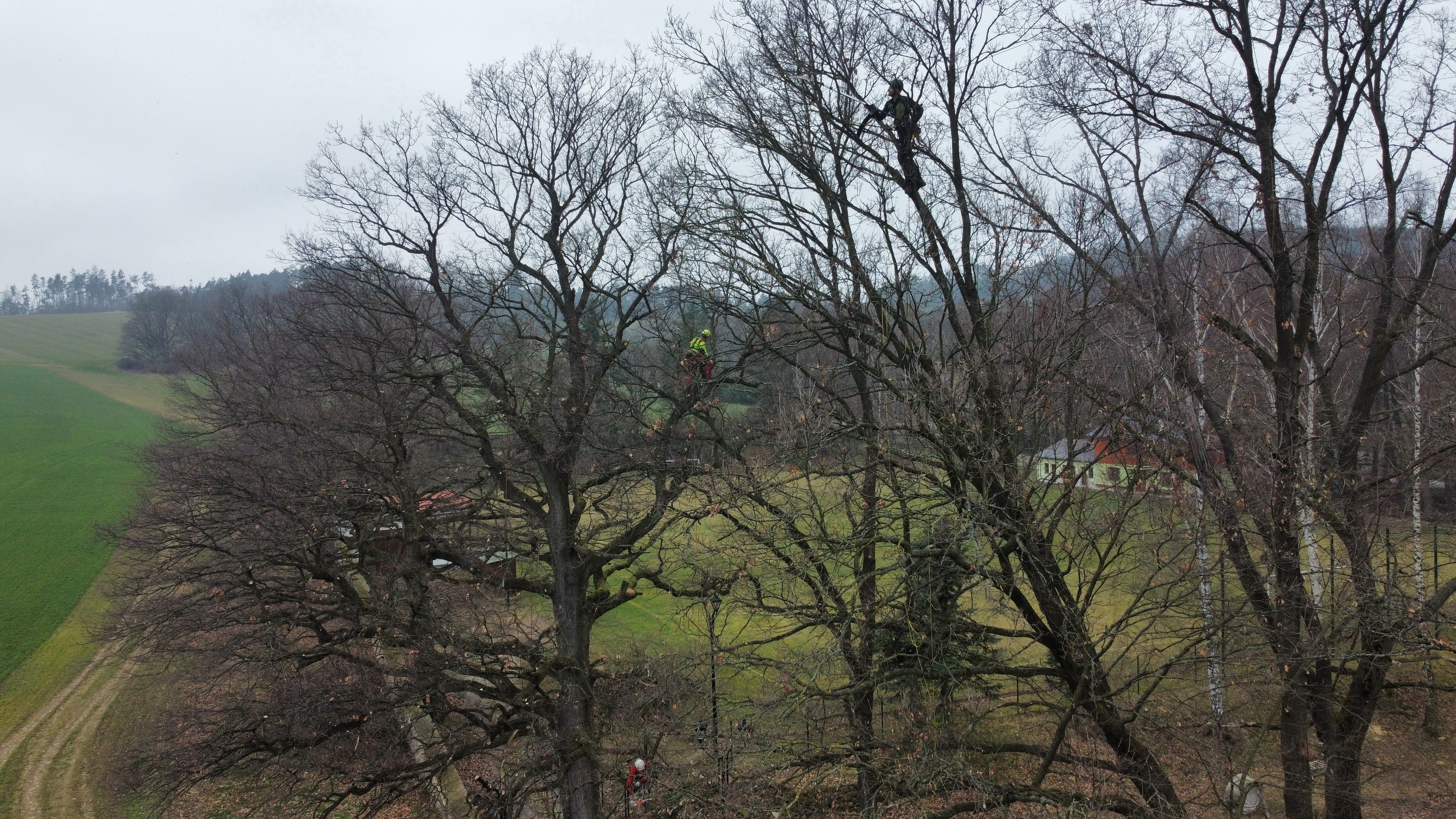 Arboristika - Ing. Uchytil Vojtěch foto 6