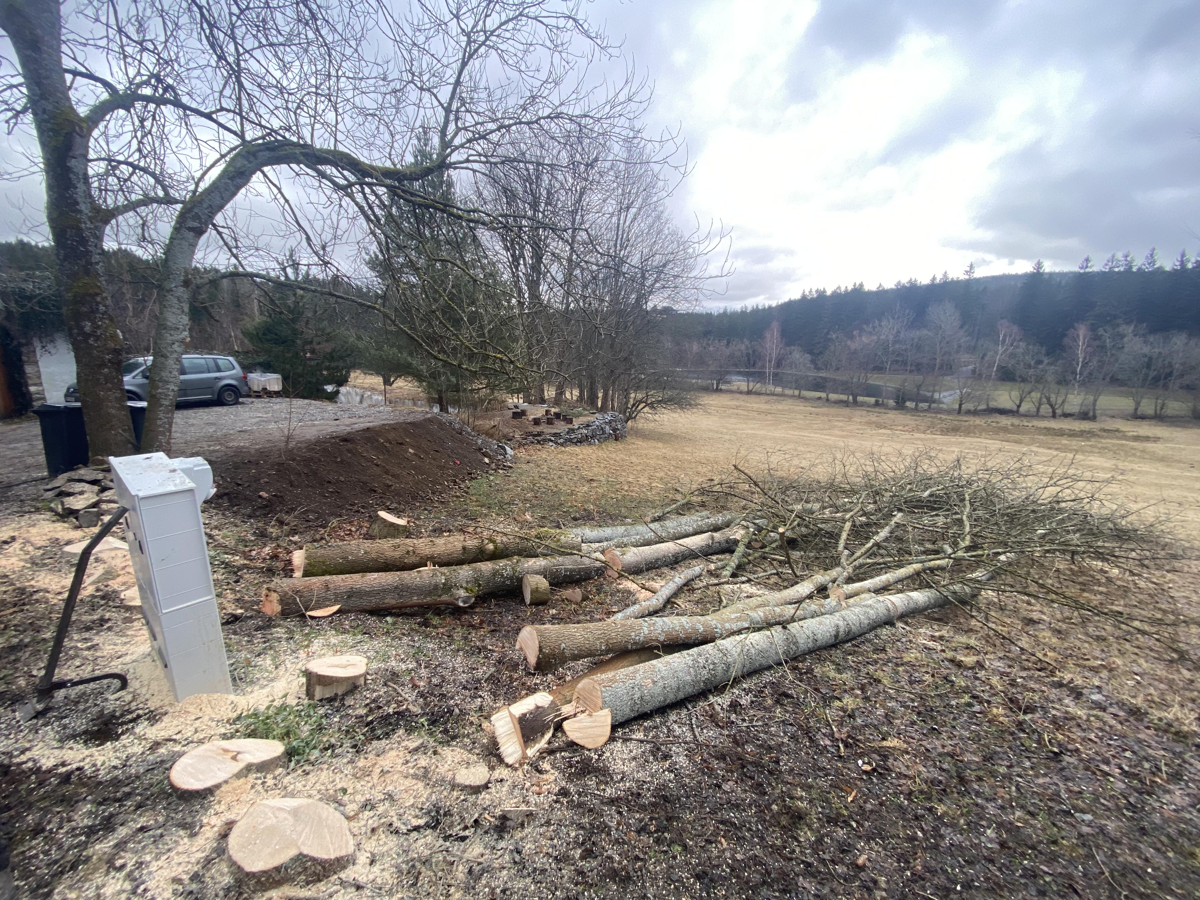 Rizikové kácení & výškové práce Dušek foto 5