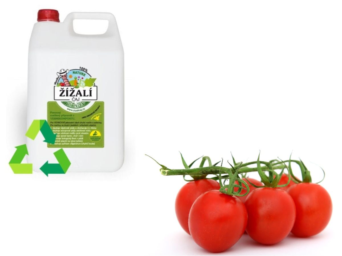 Zizali-caj.cz foto 5