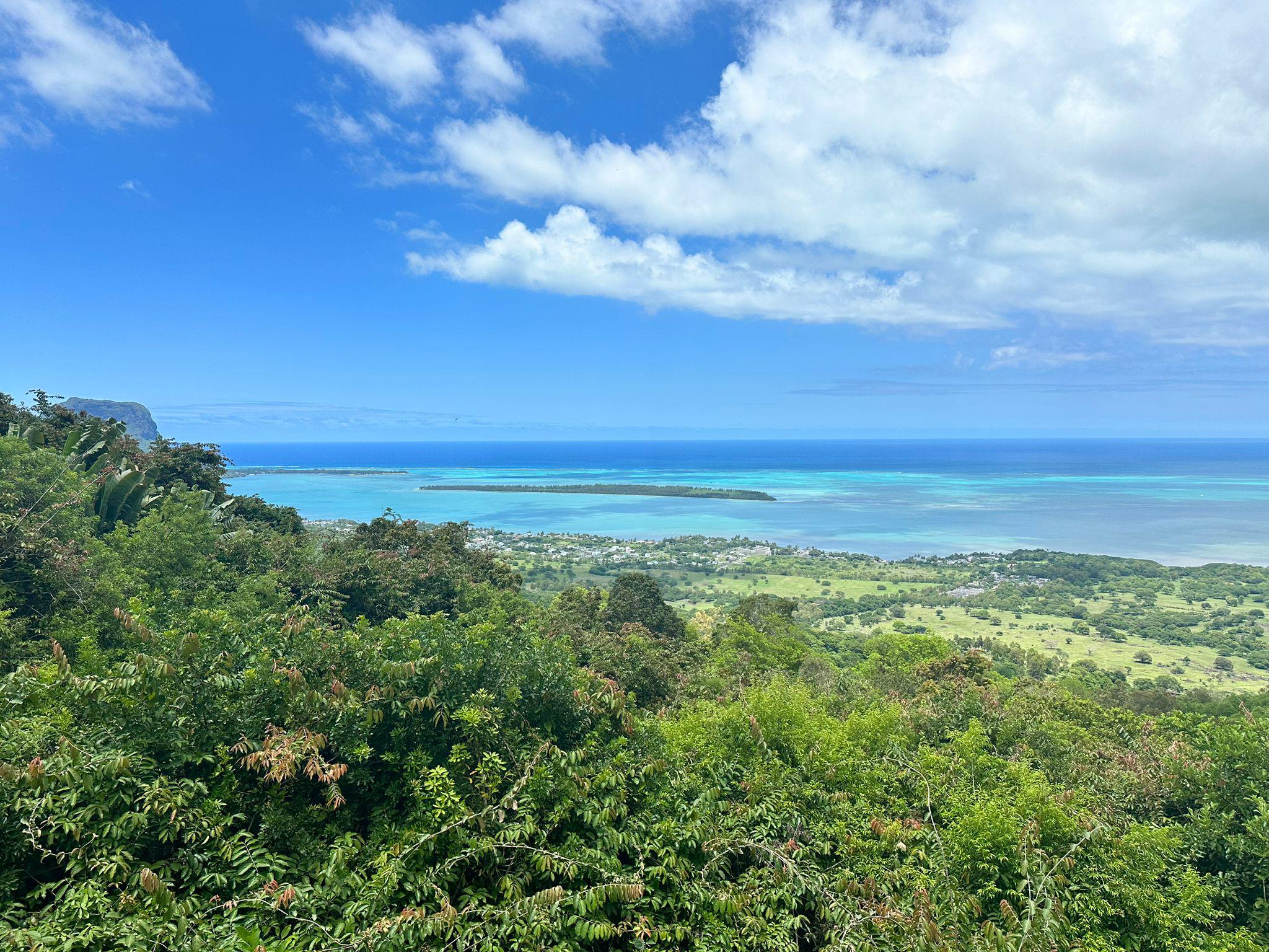 TIME TRAVEL CREATIVE TEAM foto 6