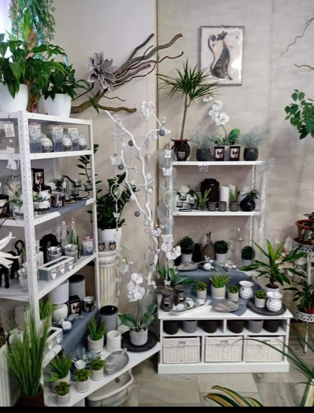 Květinka Jana Soukupová foto 2