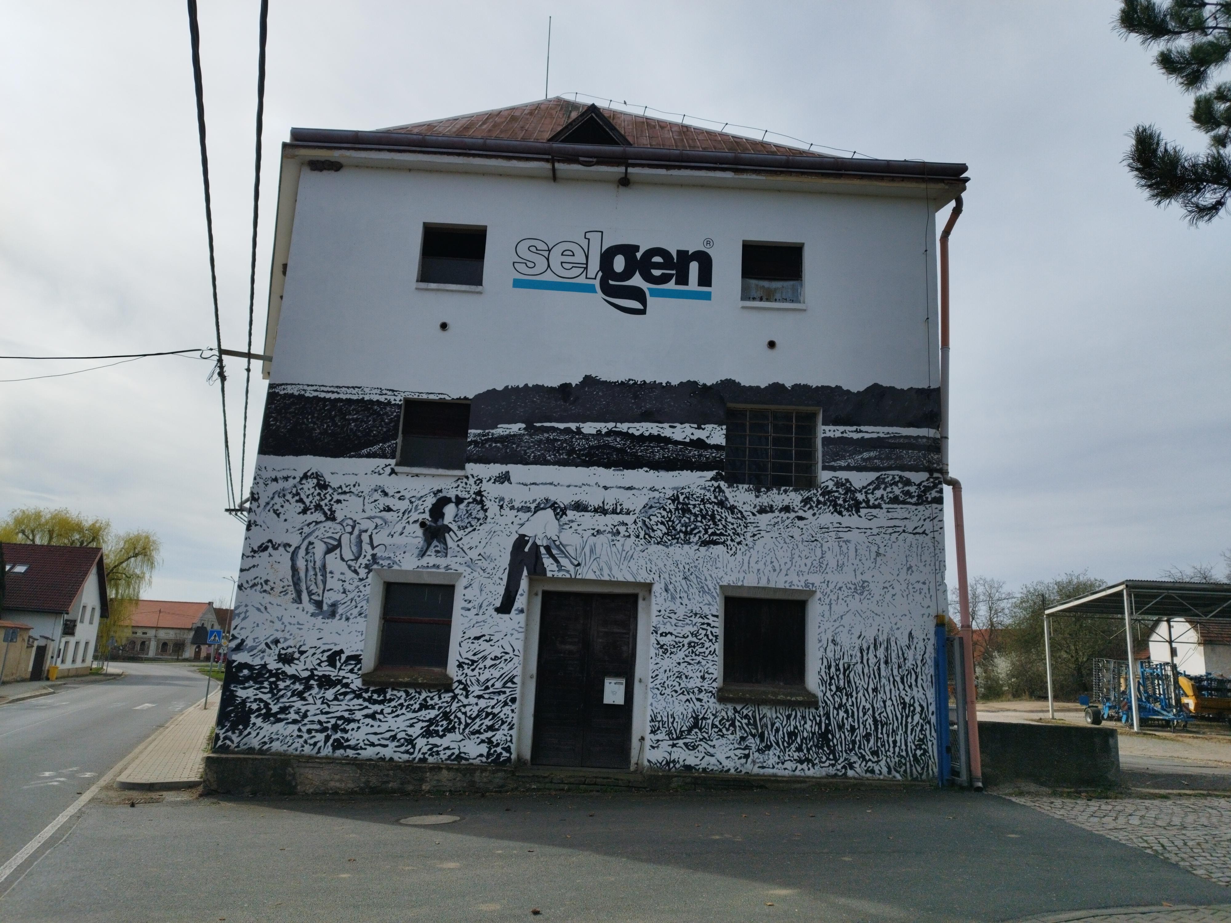 SELGEN foto 3