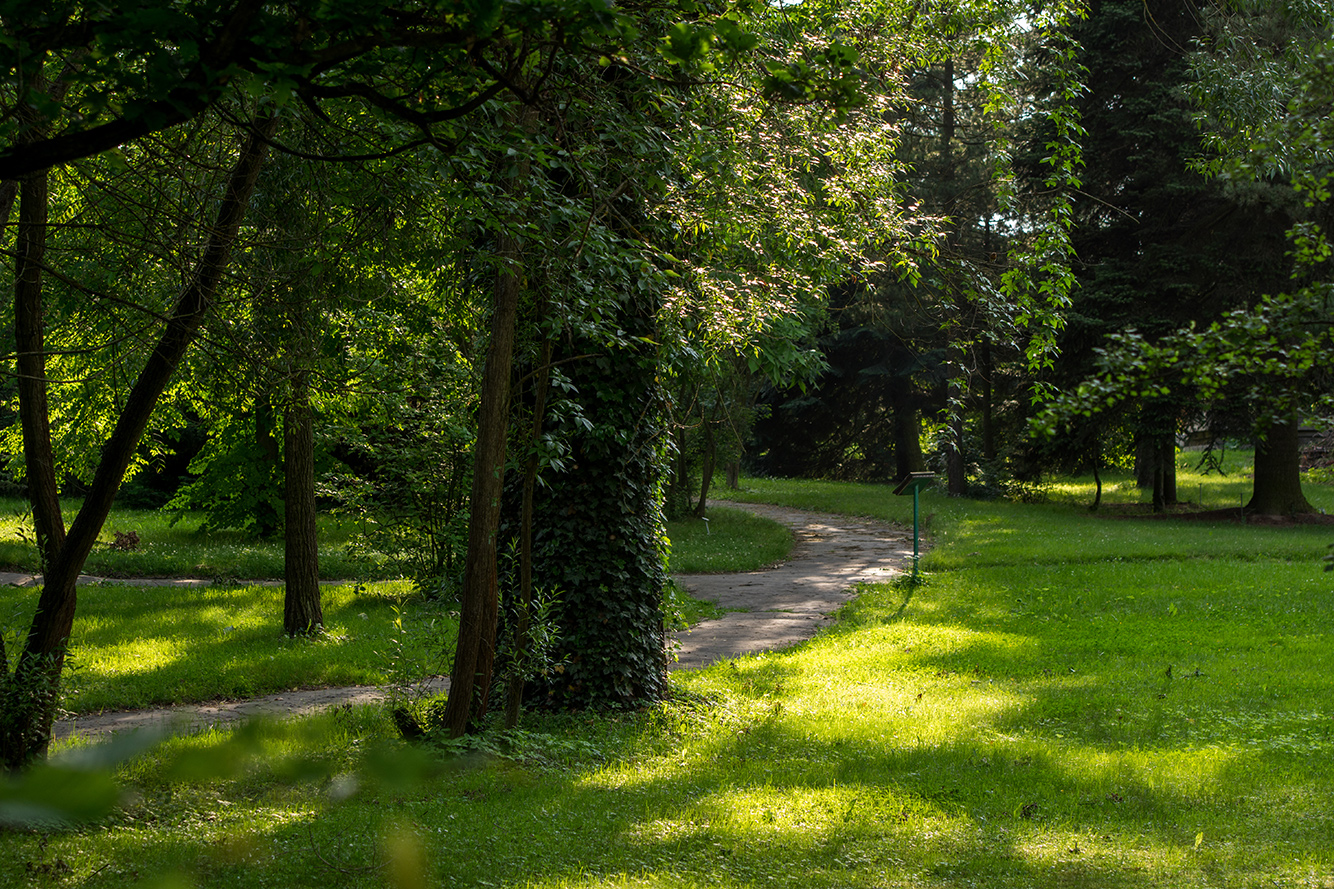 Arboretum Vyšší odborné školy lesnické a Střední lesnické školy Bedřicha Schwarzenberga, Písek