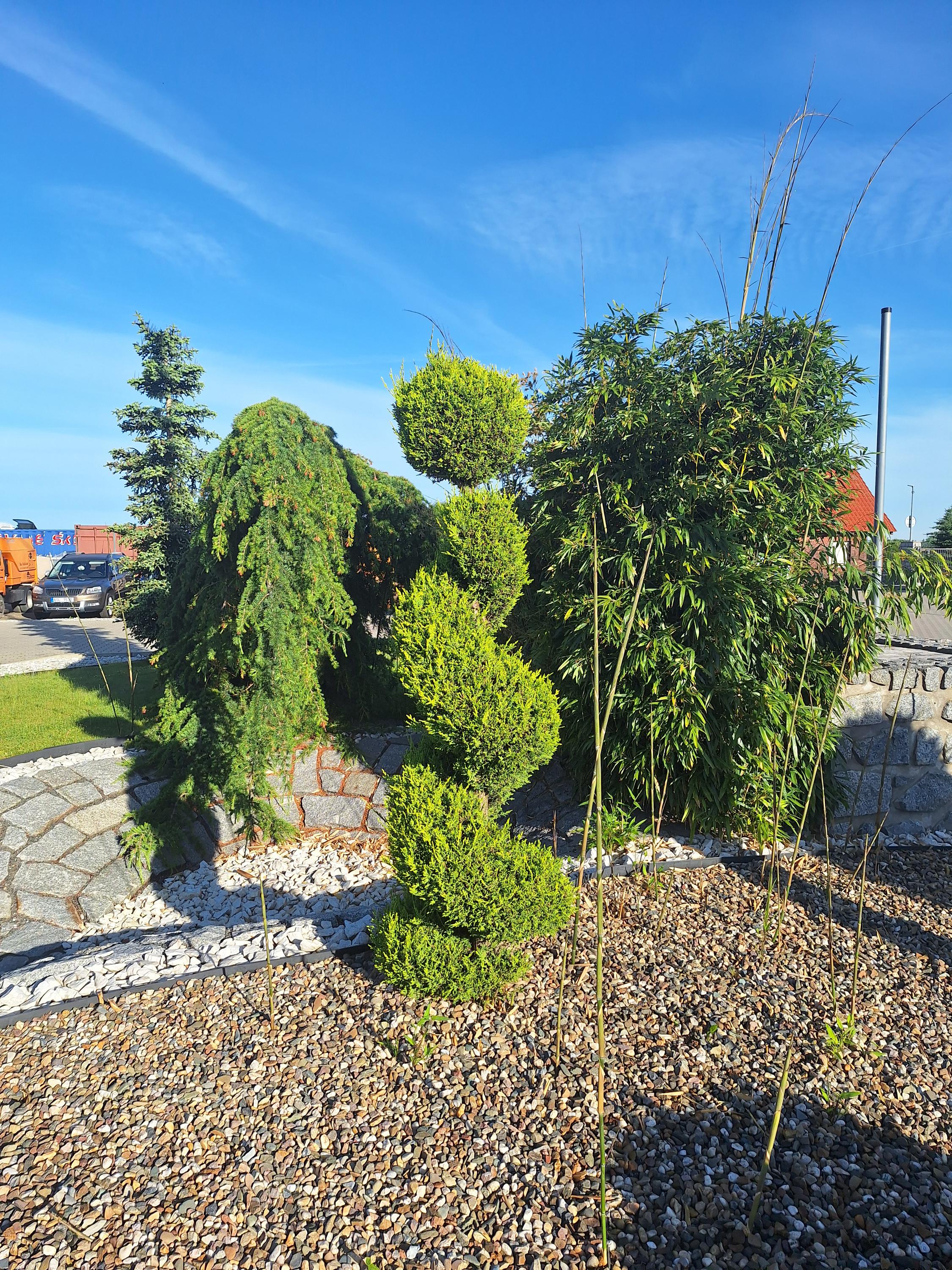 Automobile Centre STK, s.r.o. foto 2