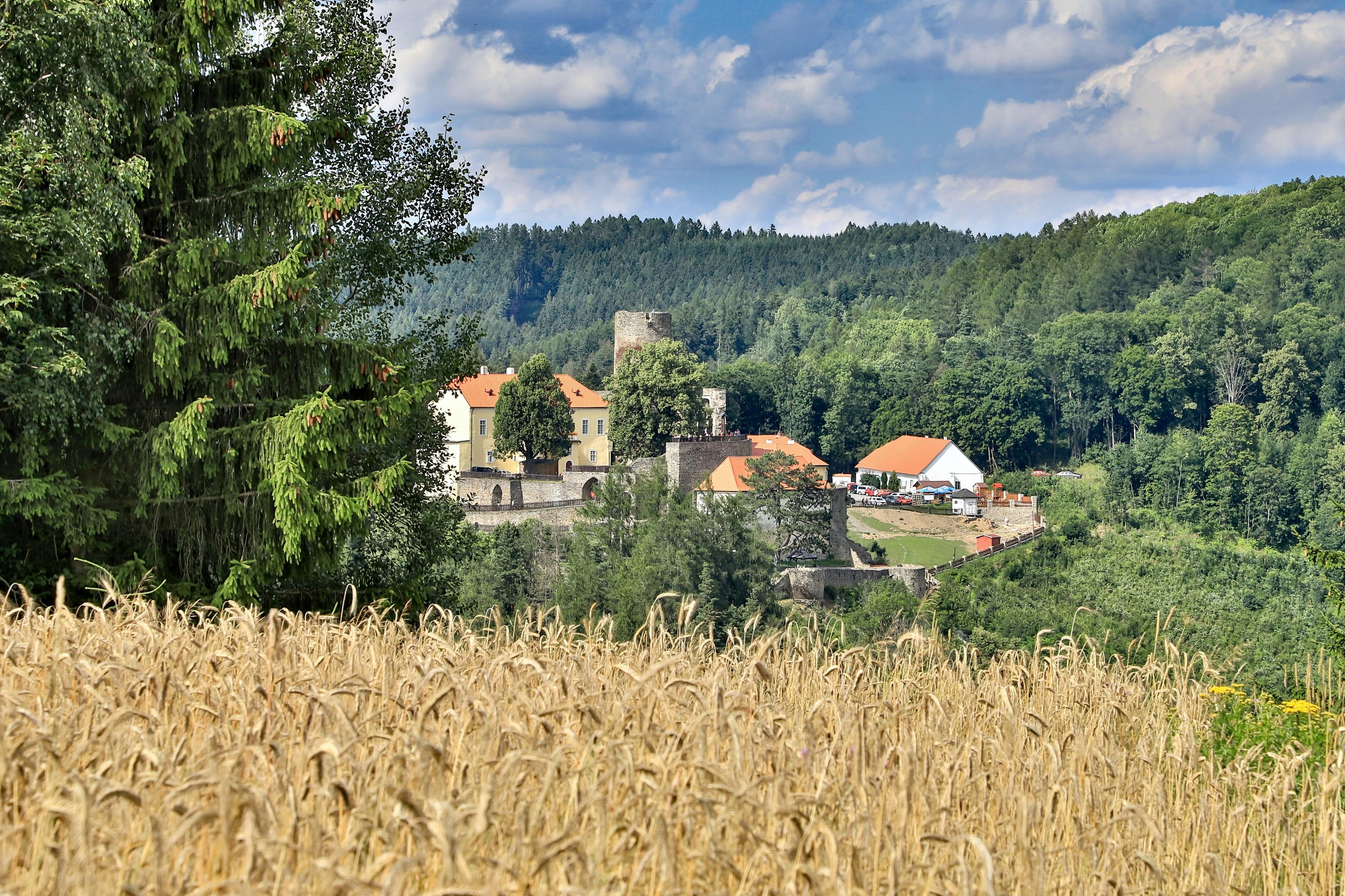 Hrad Svojanov foto 2