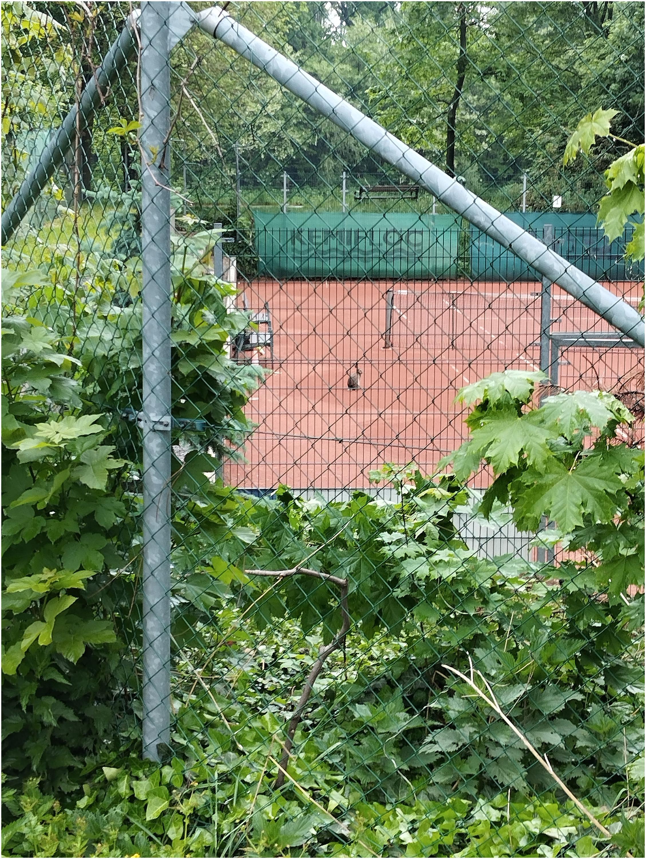 TK PRECHEZA Přerov, z.s. foto 3