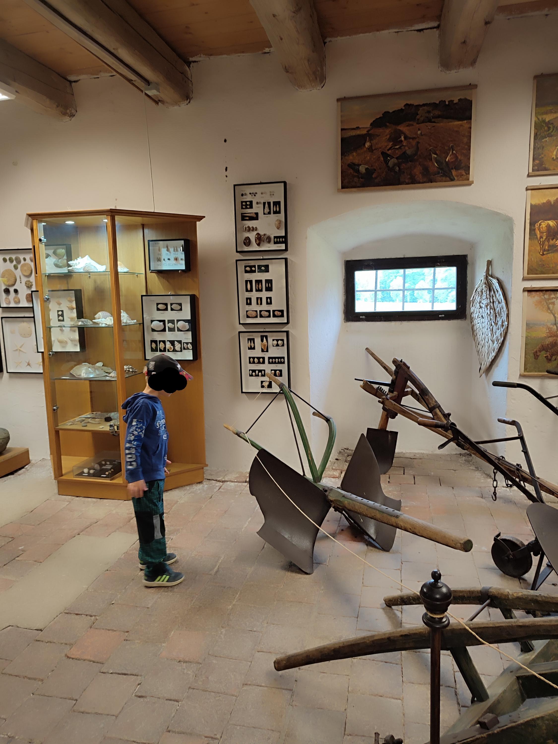 Muzeum přírodovědy a venkova foto 6