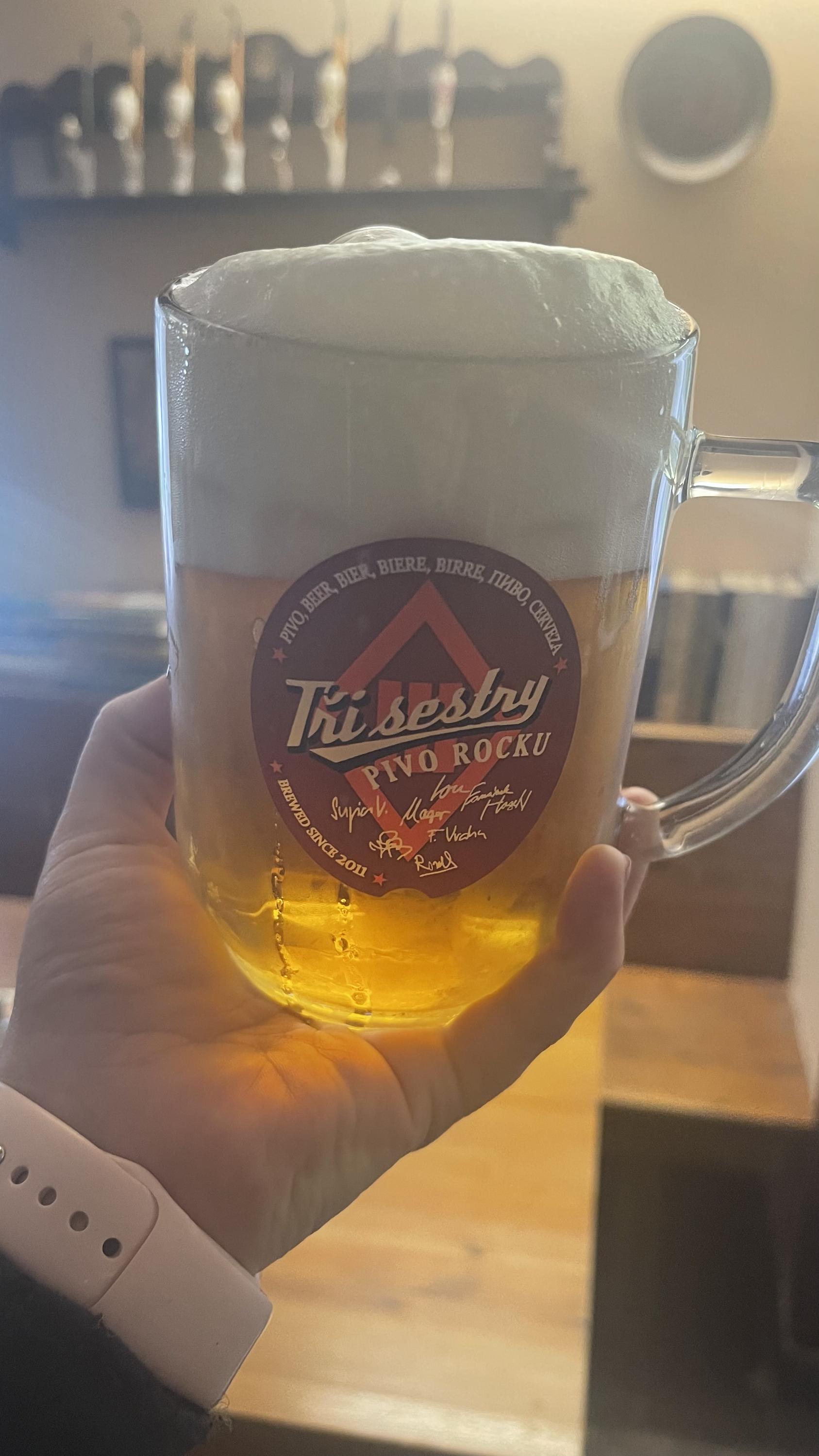 Penzion Troníček foto 2