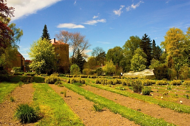 Botanická zahrada při VOŠ a SZEŠ v Táboře foto 3