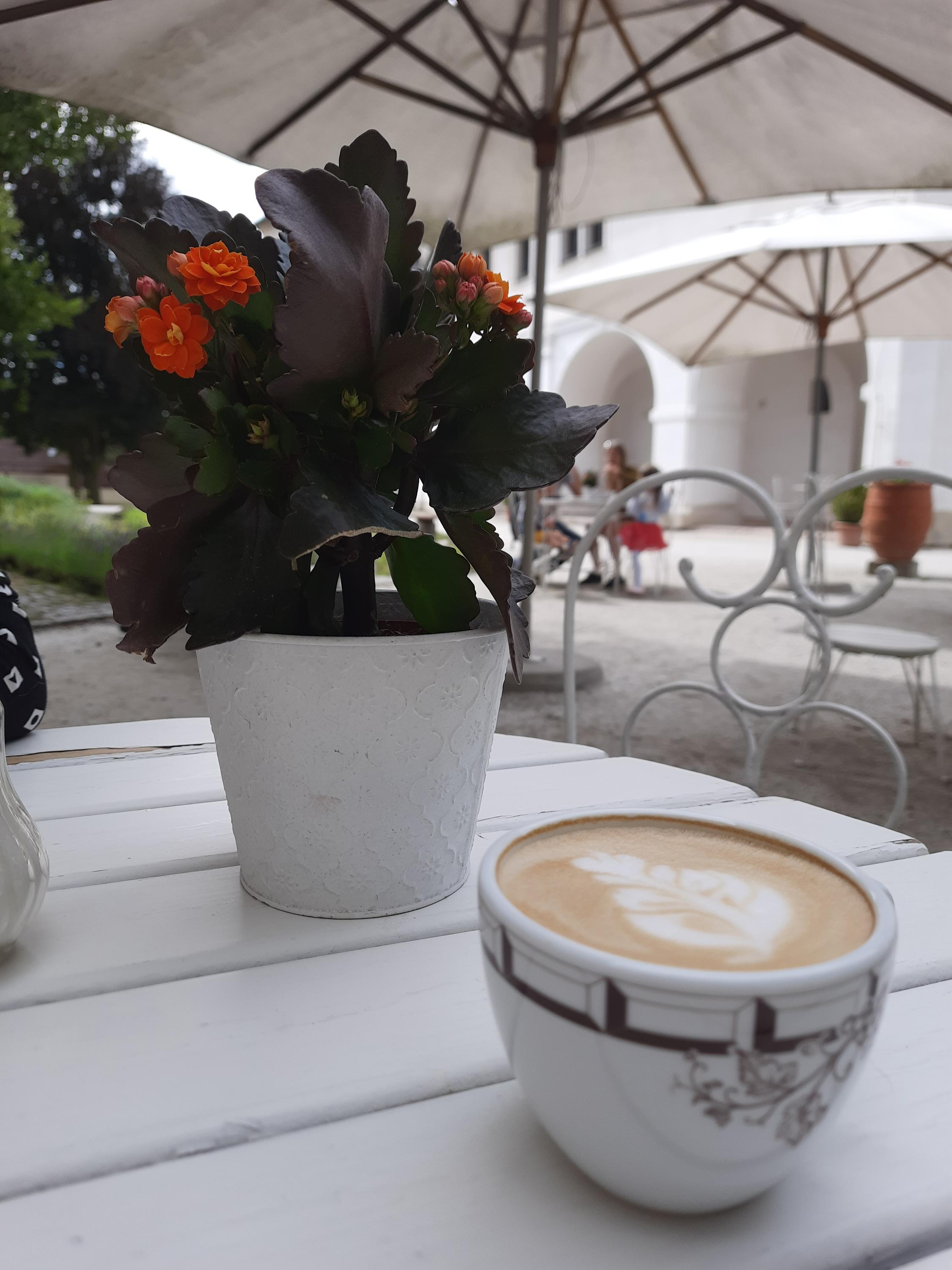 Kavárna U Bylinkové zahrádky foto 2