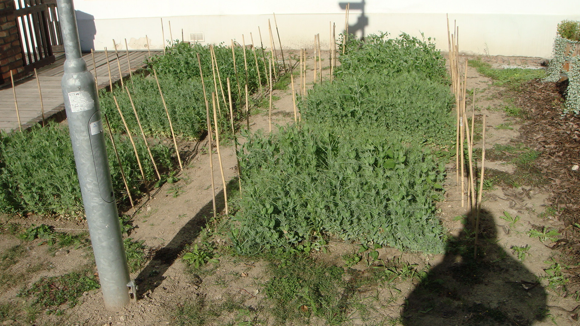 Mendelovo muzeum Masarykovy univerzity foto 4