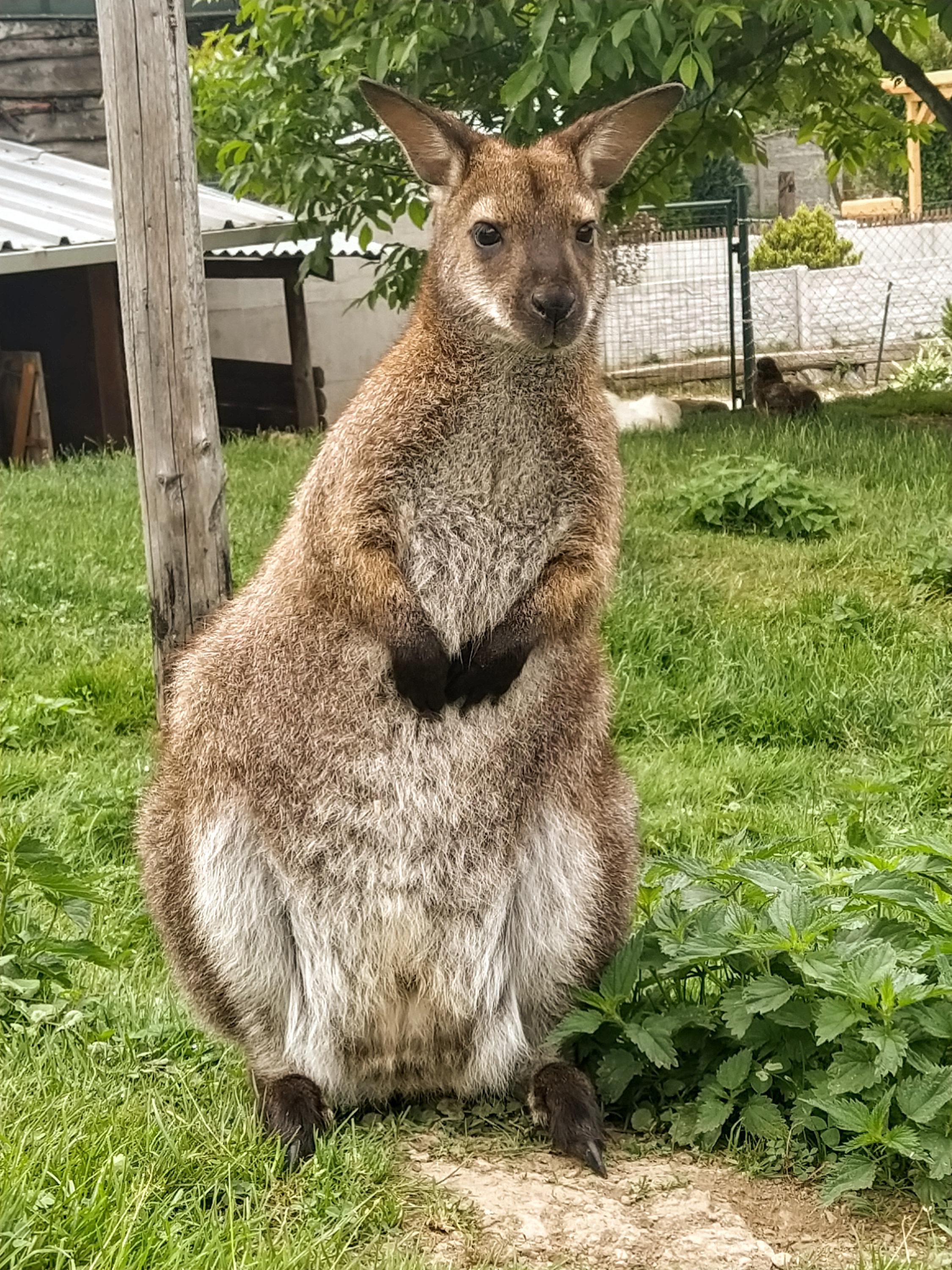 ZOO Faunapark foto 6