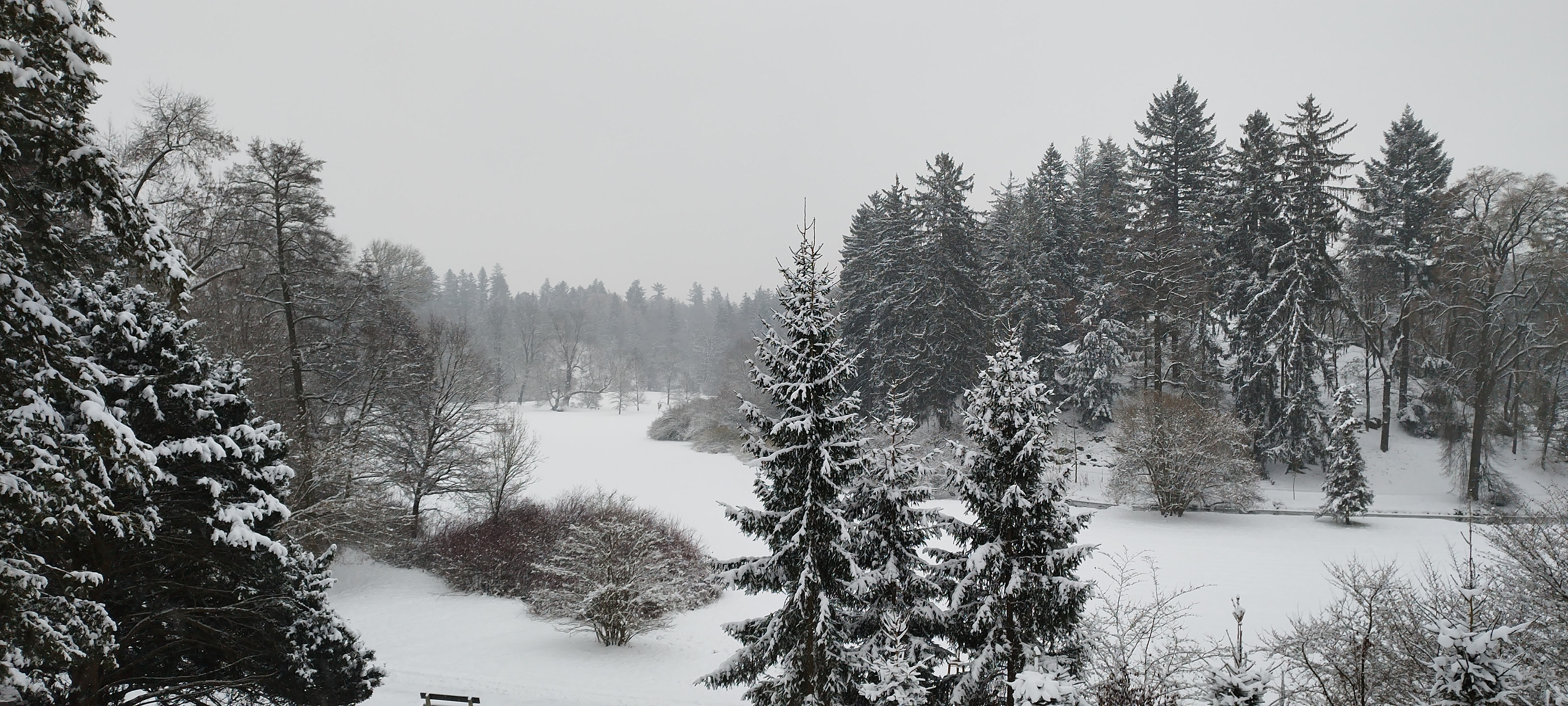 Průhonický park a zámek - Botanický ústav AV ČR foto 5