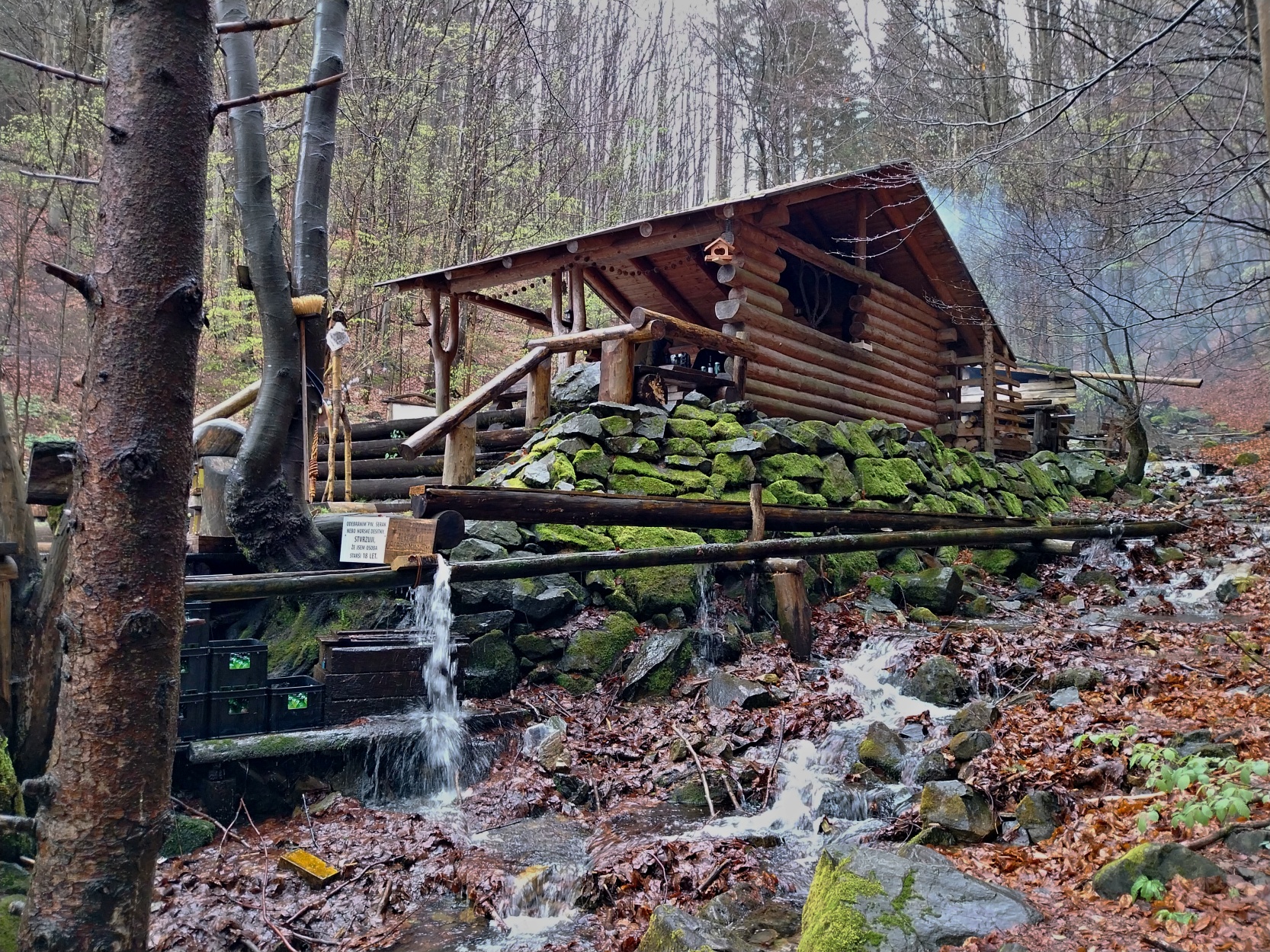 Lesní bar Lipová-lázně foto 5