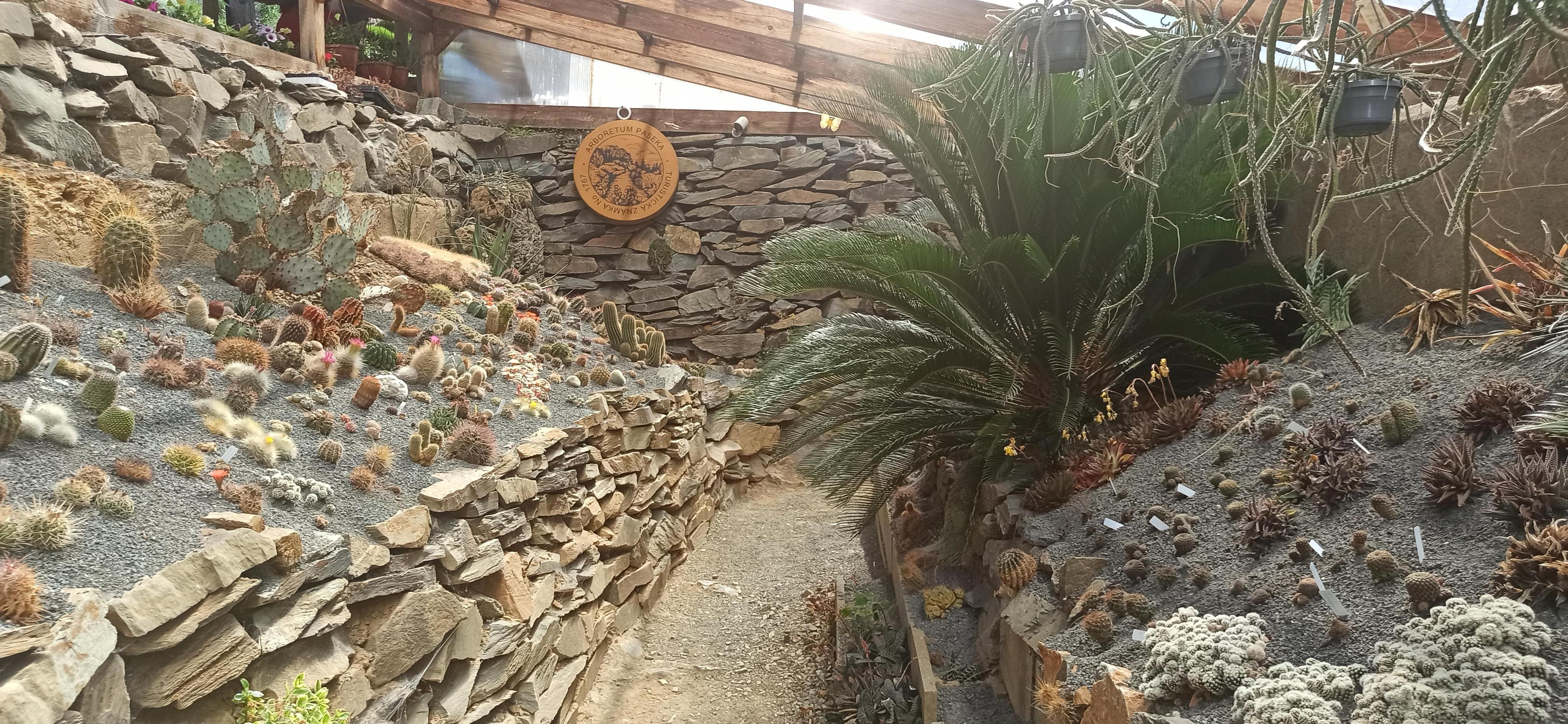 Ing. Radim Slabý - Arboretum Makču Pikču foto 5