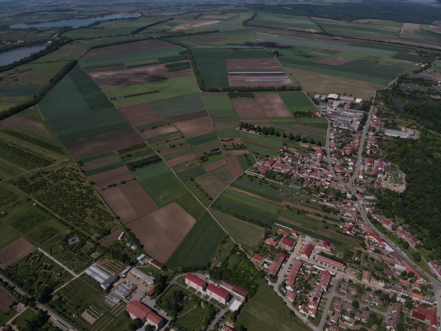 Lednice - obecní úřad foto 6