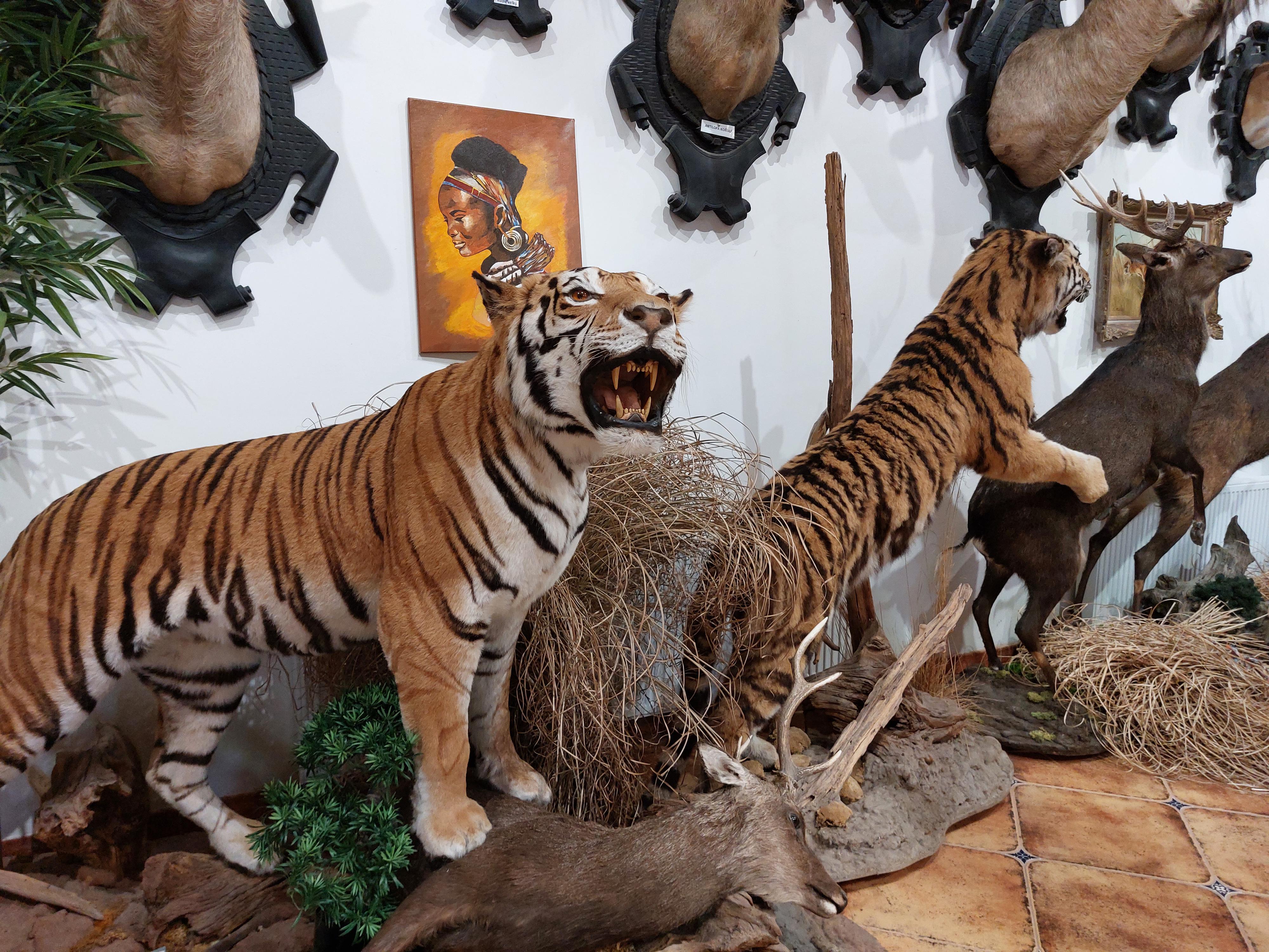 Africké muzeum Safari foto 3