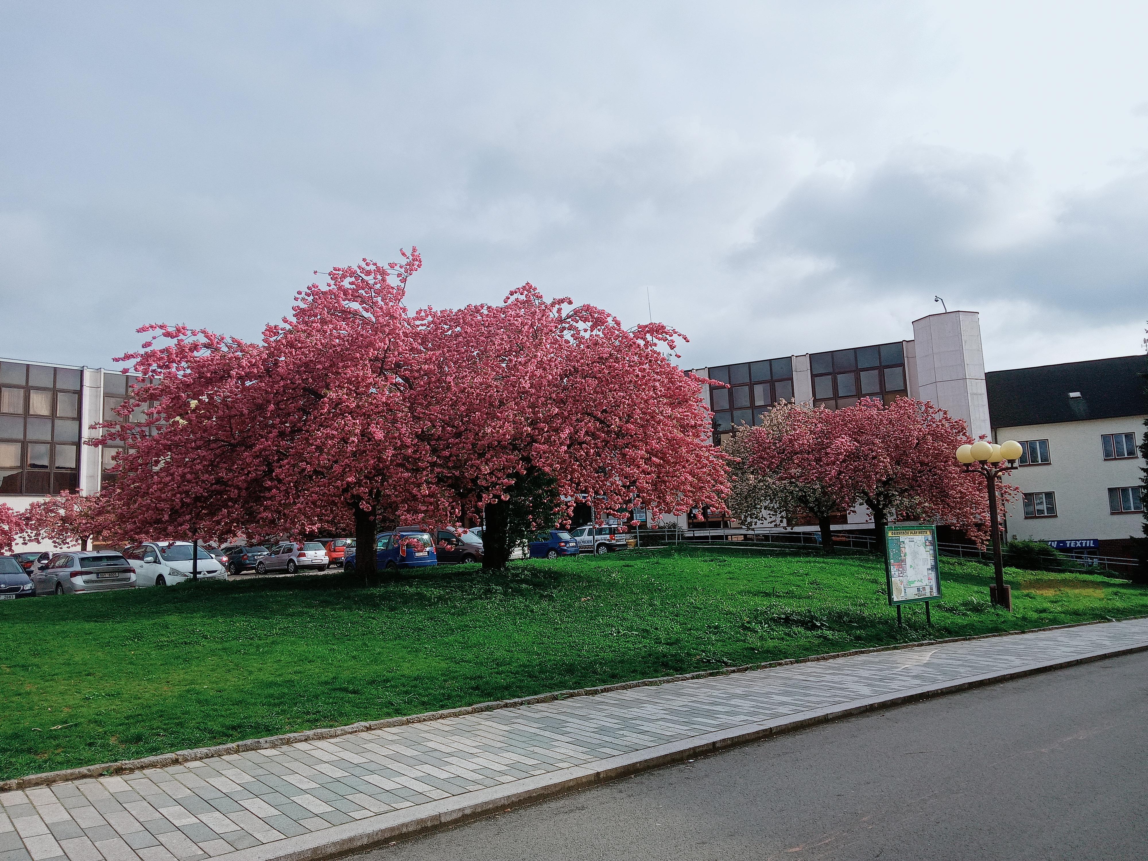 Městské kino Rychnov nad Kněžnou foto 4
