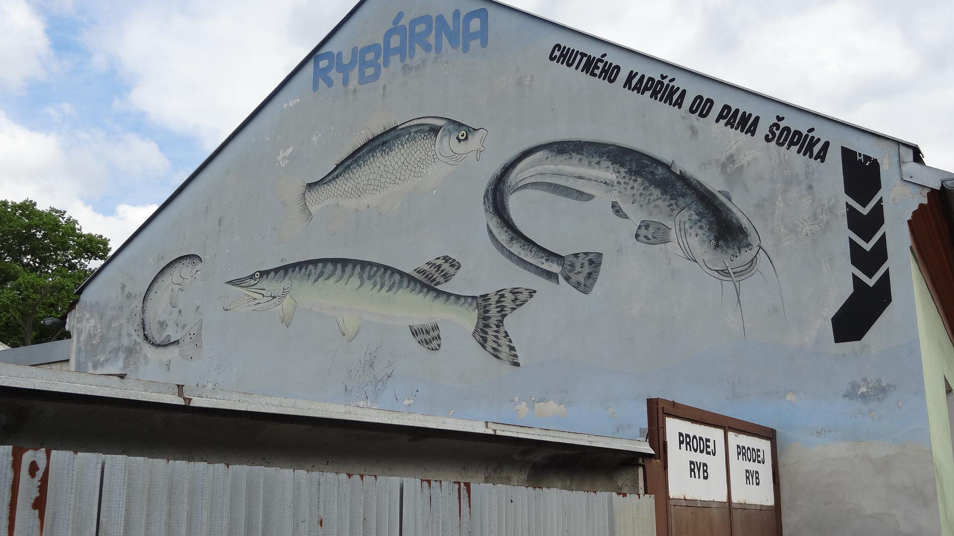 Rybárna Šopík foto 2