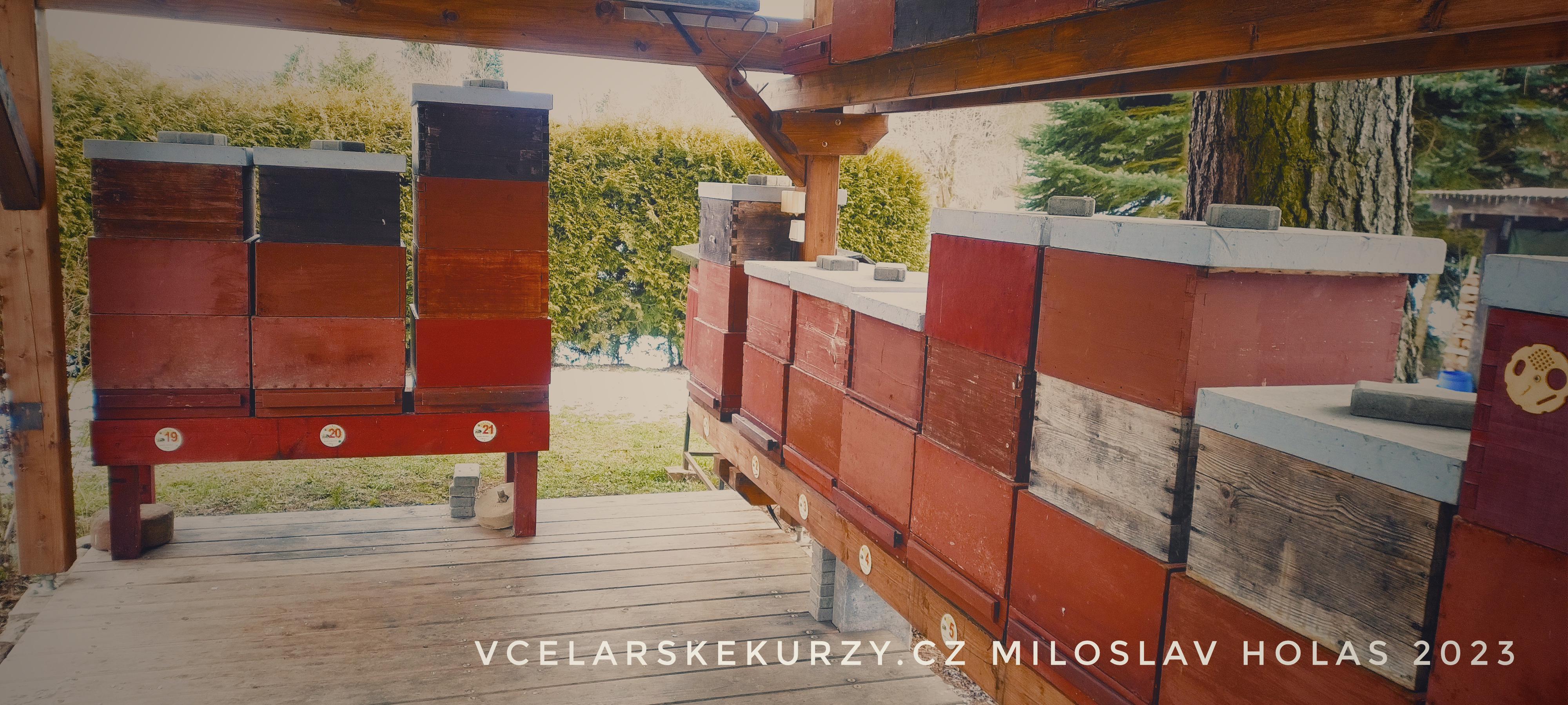 Včelařské kurzy, včelařství - Miloslav Holas foto 3