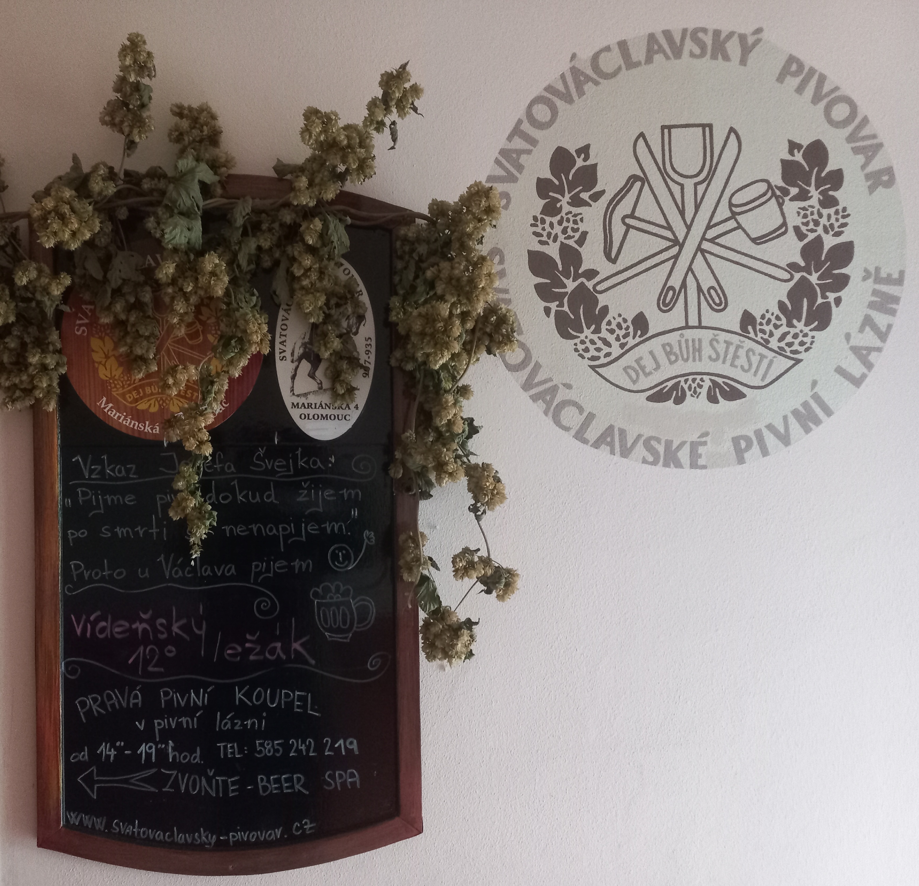 SVATOVÁCLAVSKÝ PIVOVAR s.r.o. foto 6