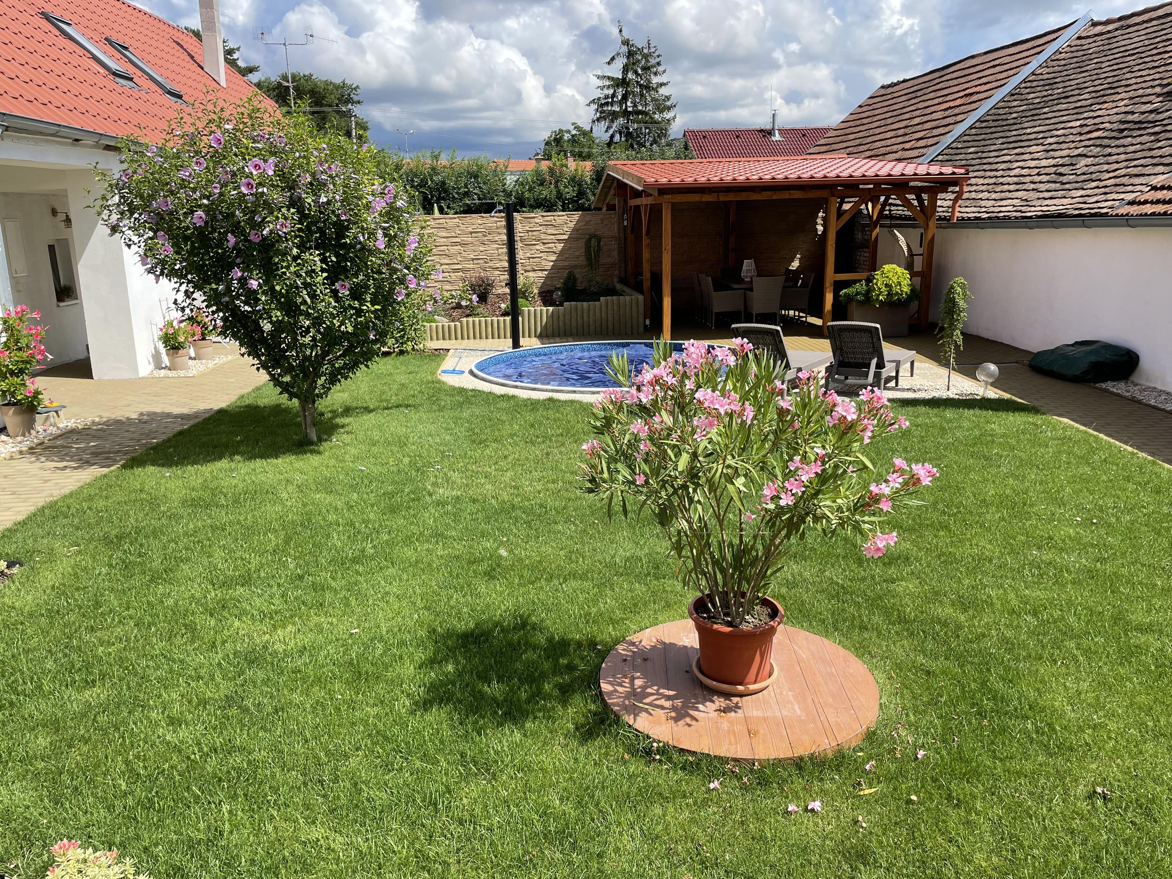 Apartmány u Pálavy foto 3