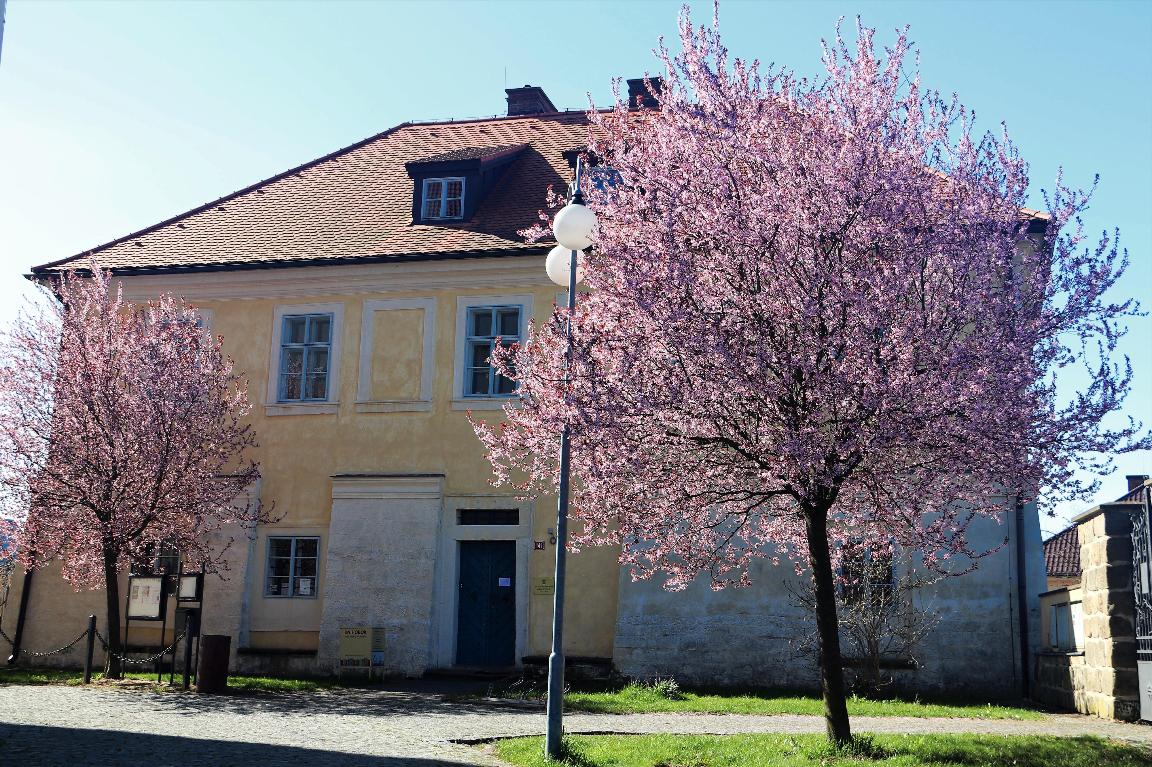 Infocentrum Dolní Bousov foto 3