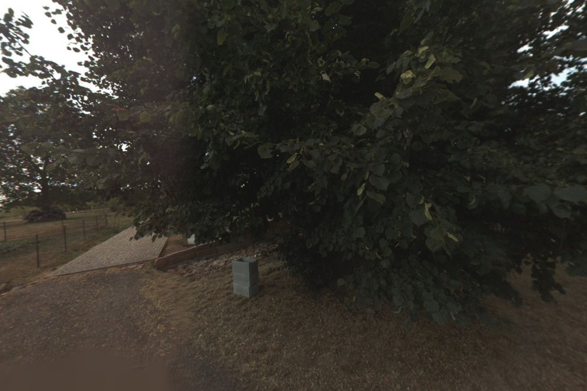 Berňáci v nouzi foto 1