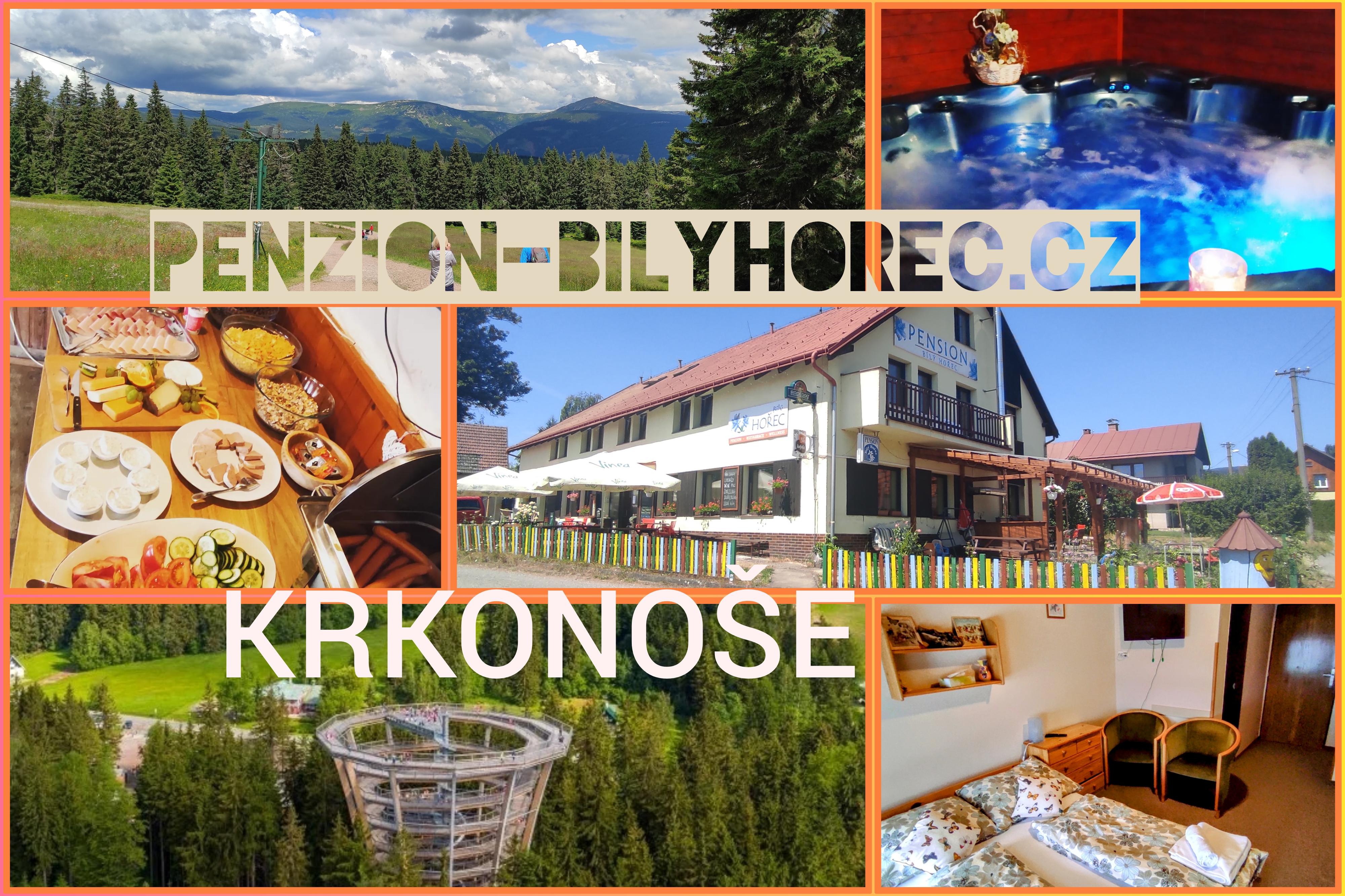 Pension Bílý Hořec foto 2