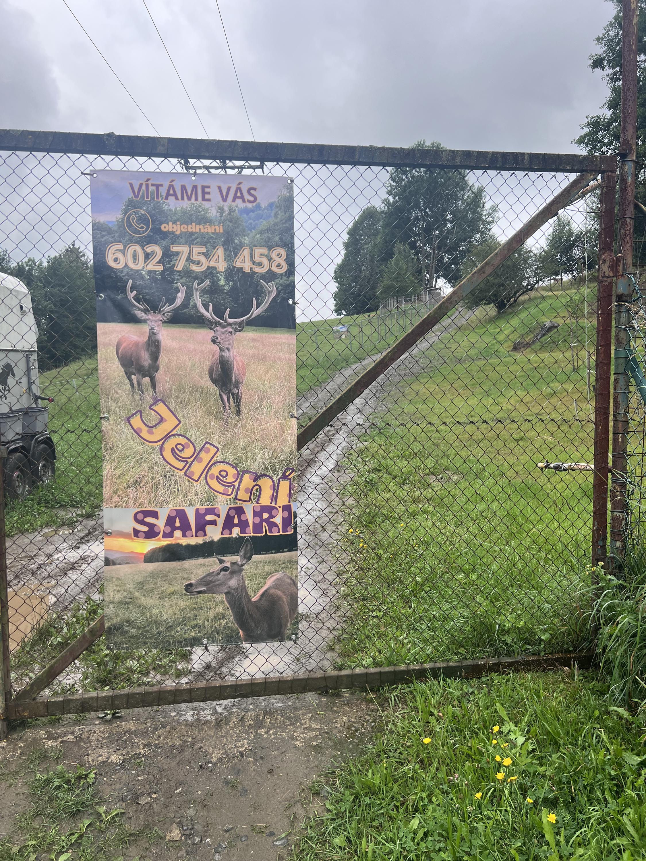 Jelení safari - Koukej farma foto 4