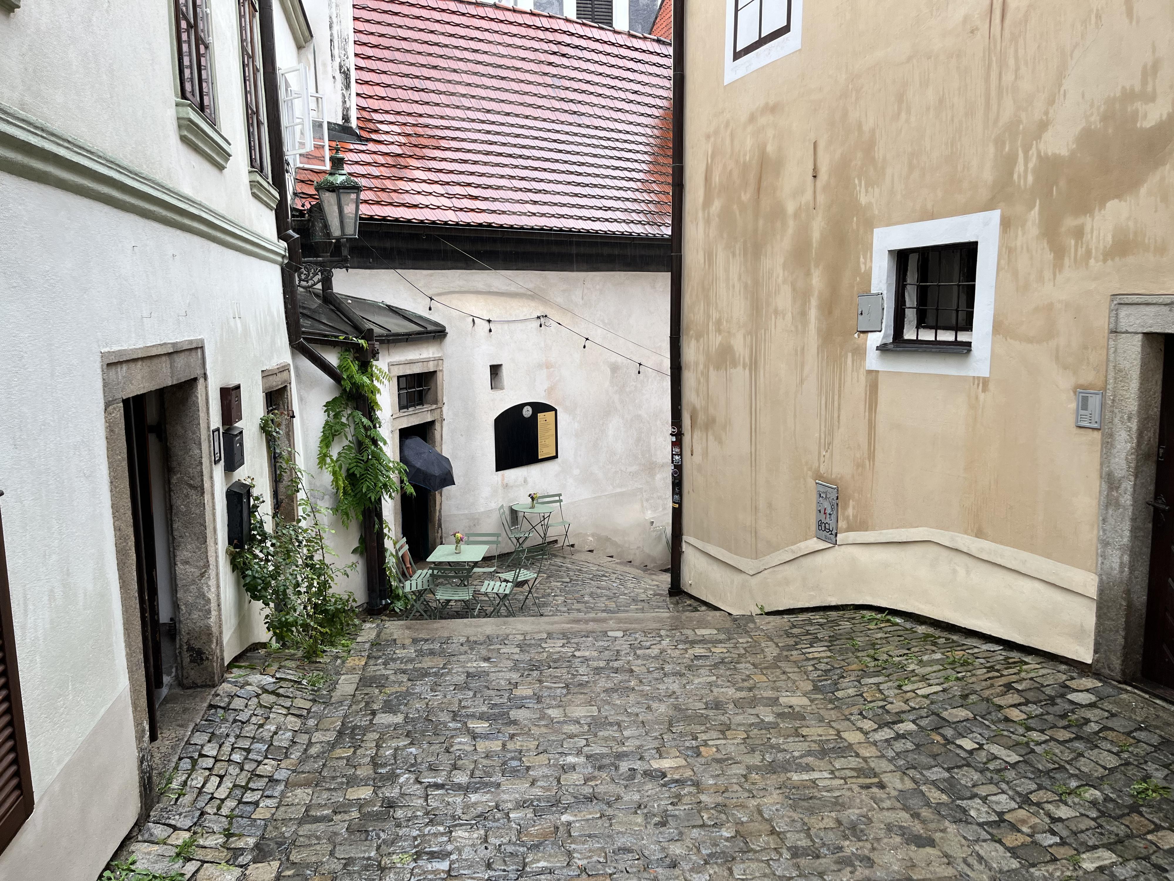 Švejk Restaurant foto 6