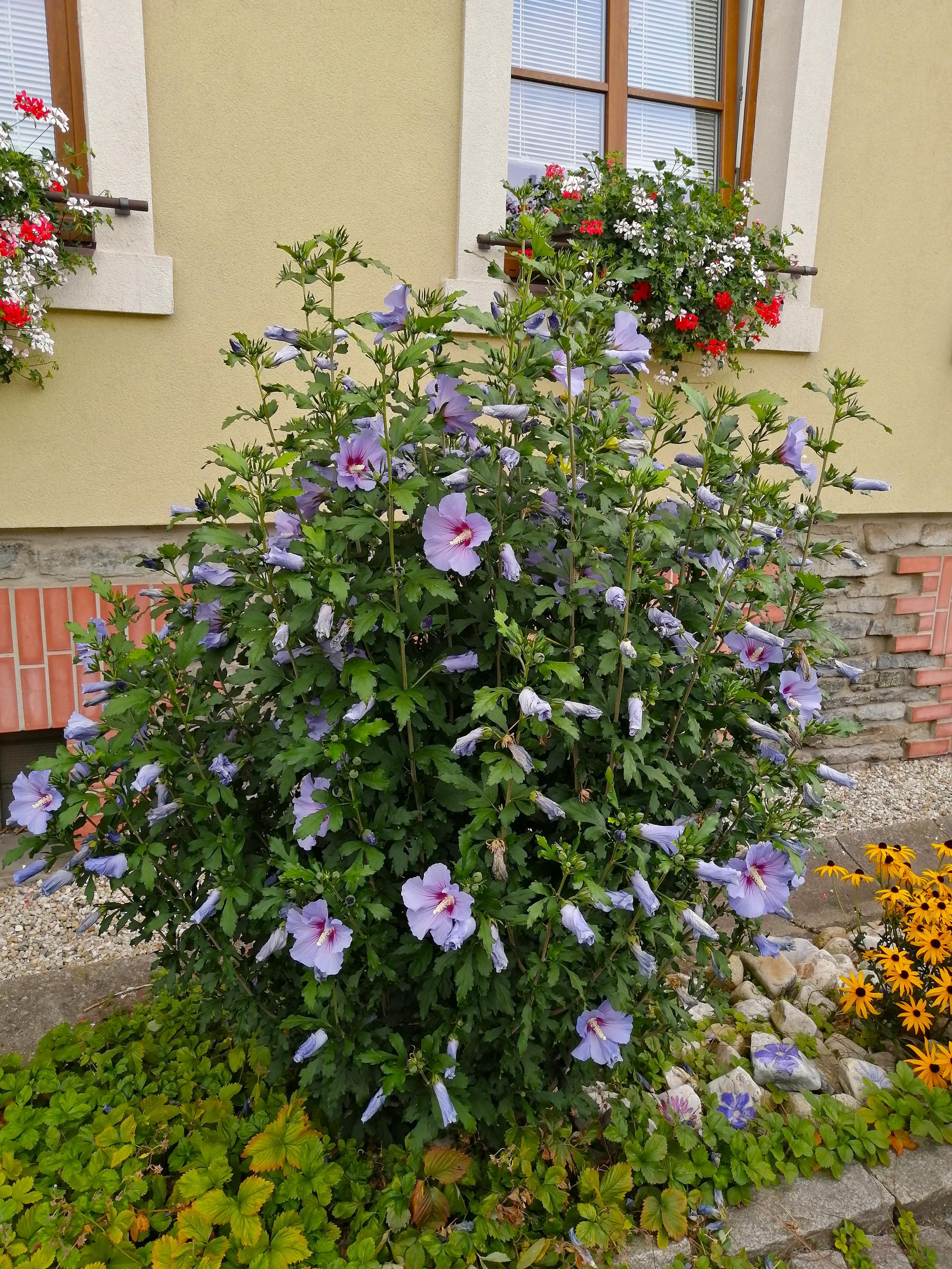 Informační centrum Loučná nad Desnou foto 5