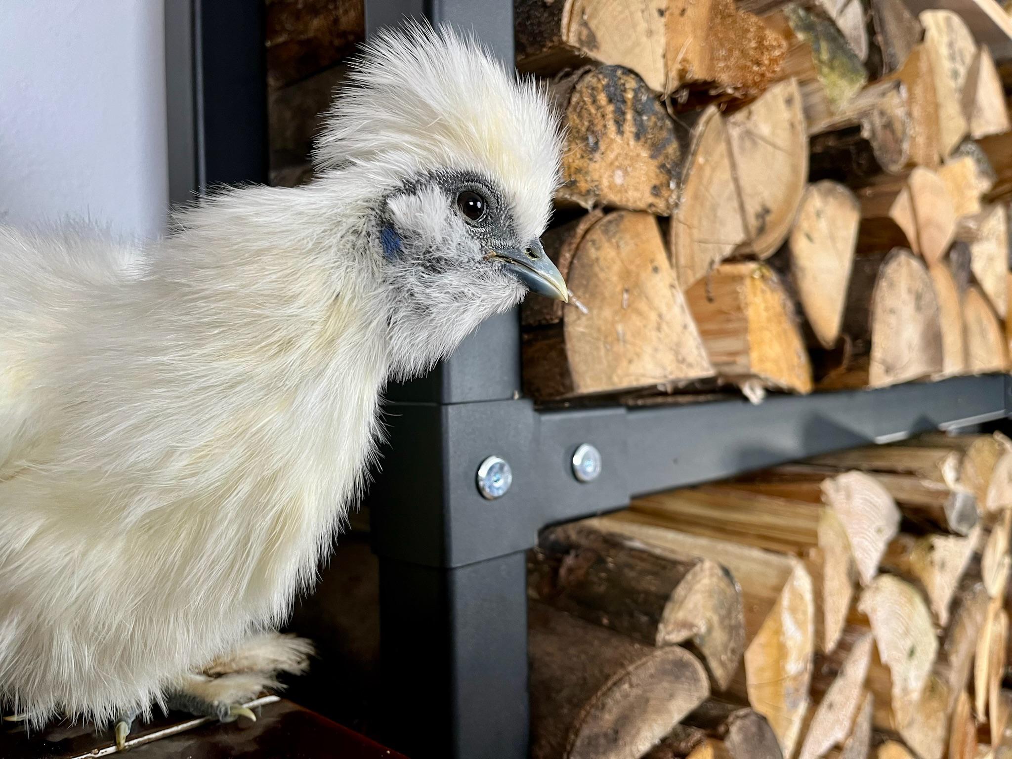 Dřevníkové stěny foto 6