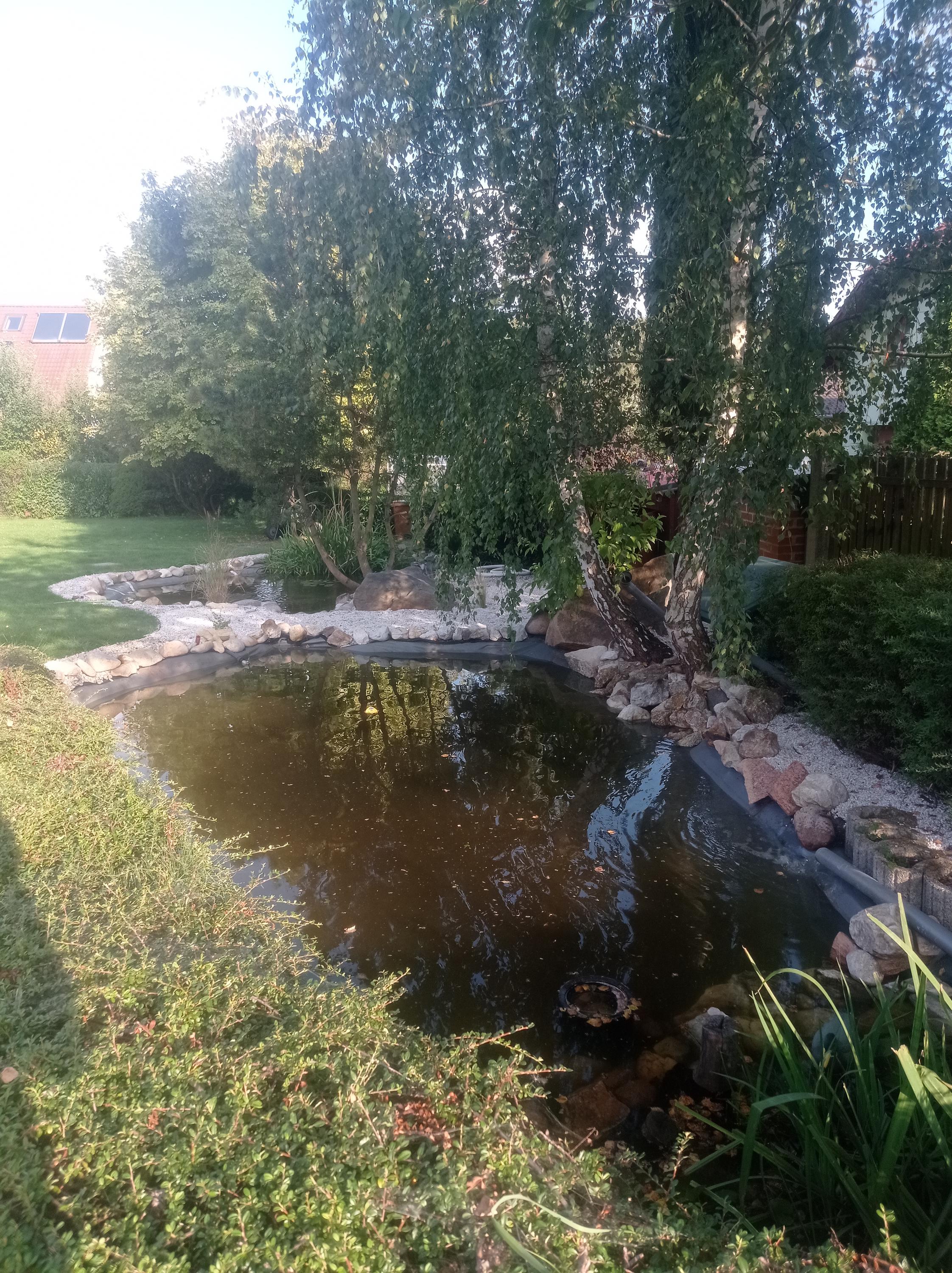 Trávníkář-Západ.cz foto 5