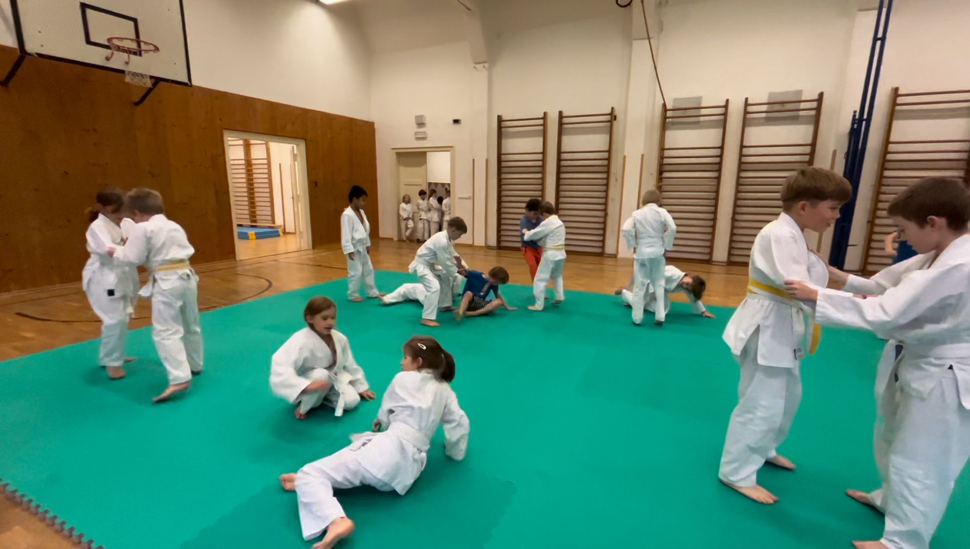 Judo Best Motion foto 3