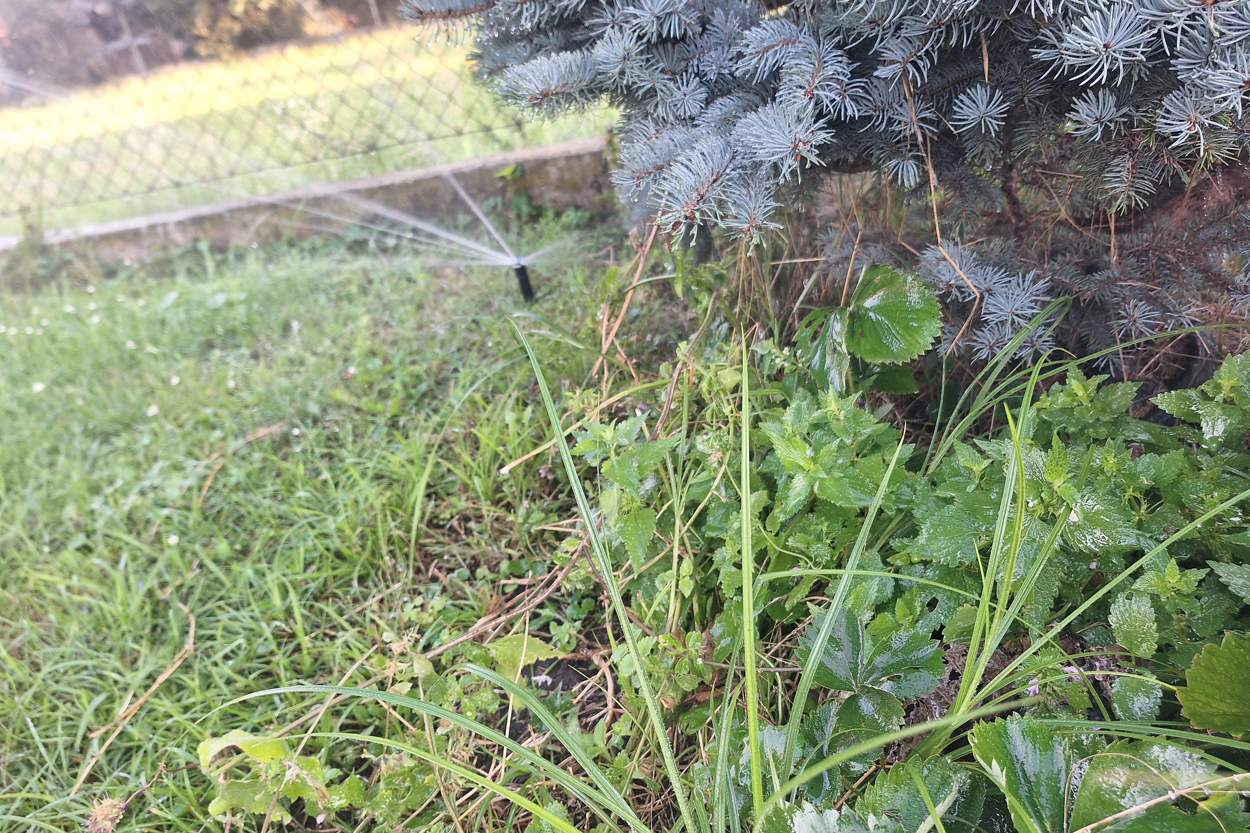 Závlahy Aleš Jungr