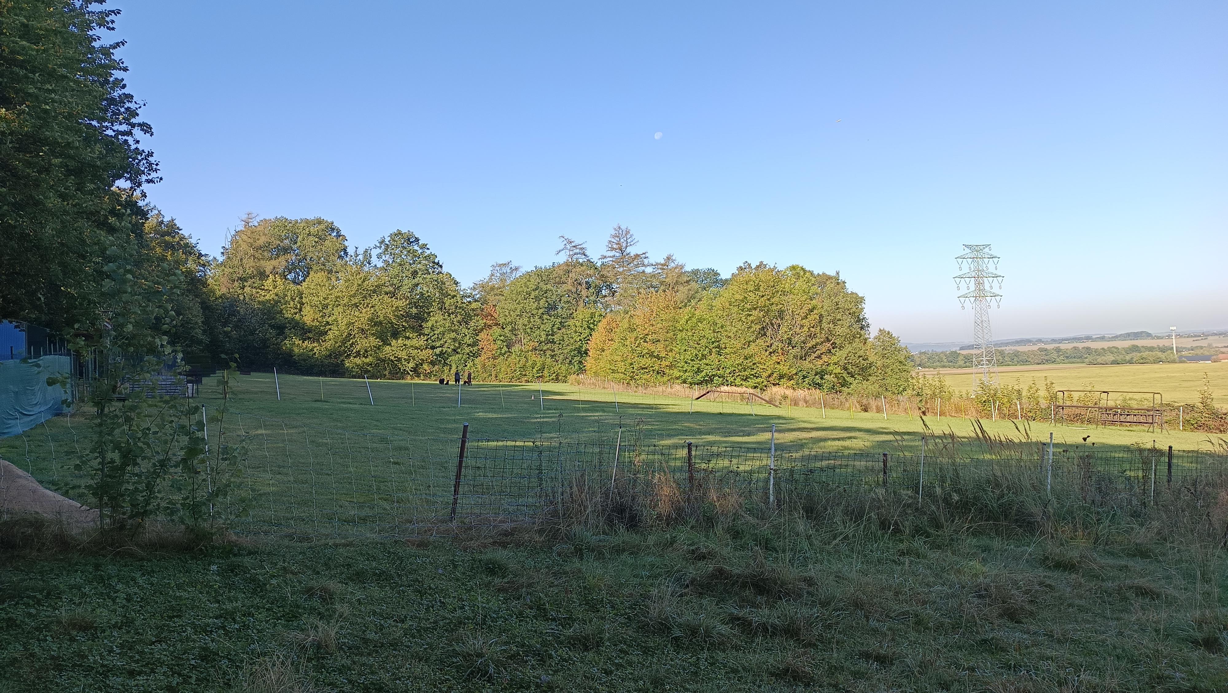 Český kynologický svaz, ZO - 282 foto 2