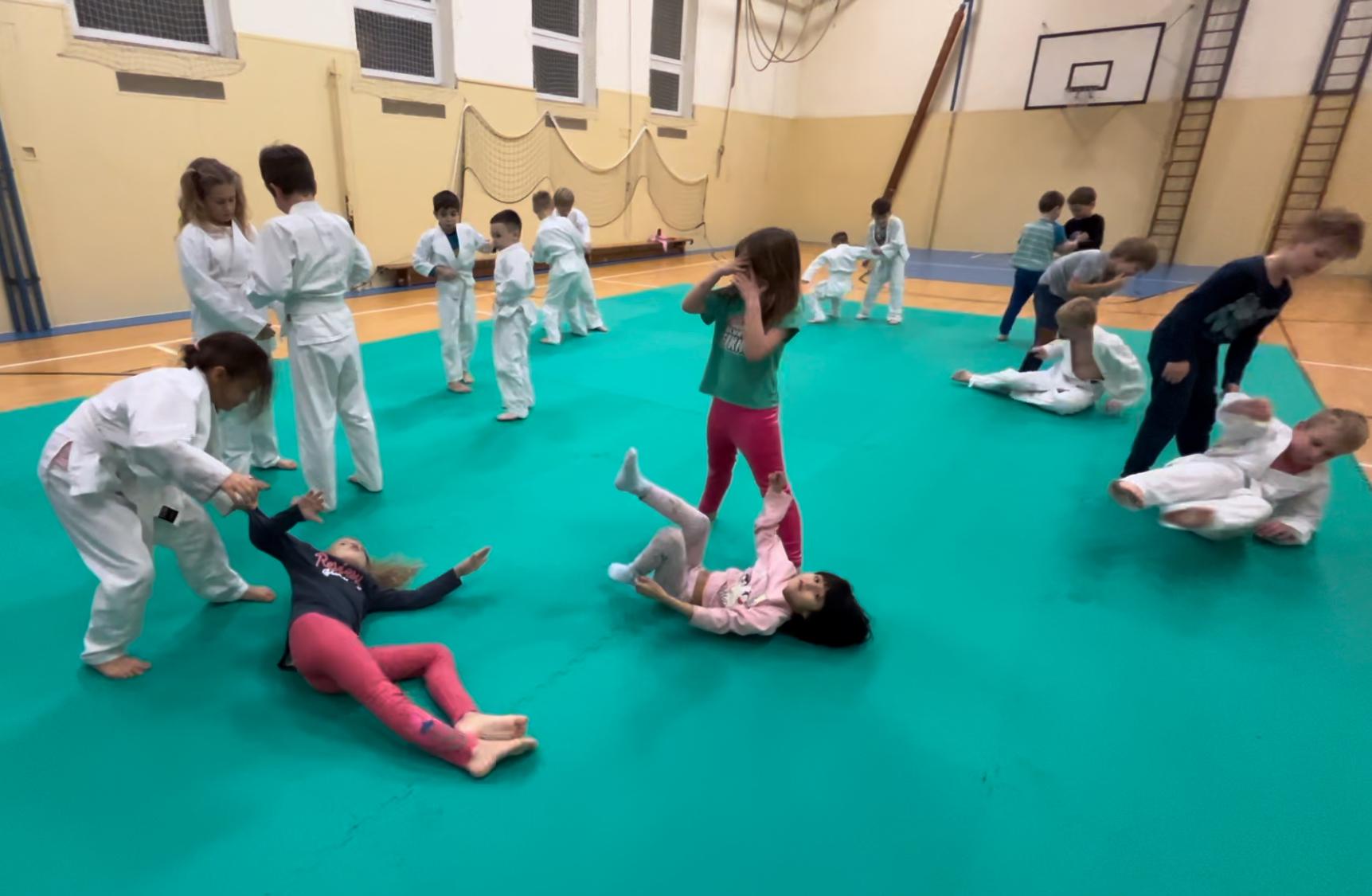Judo Best Motion foto 5