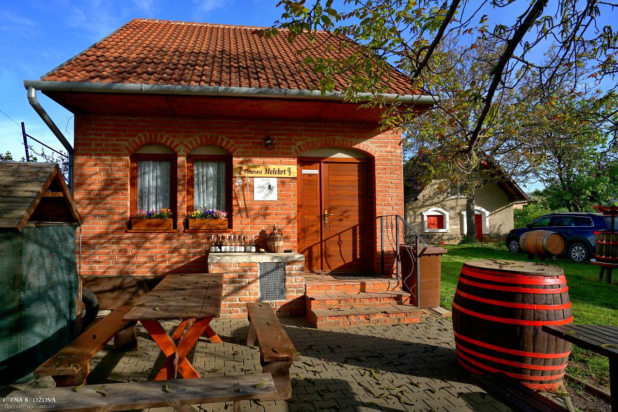 Vinařství Melchrt - Sklep Nechory