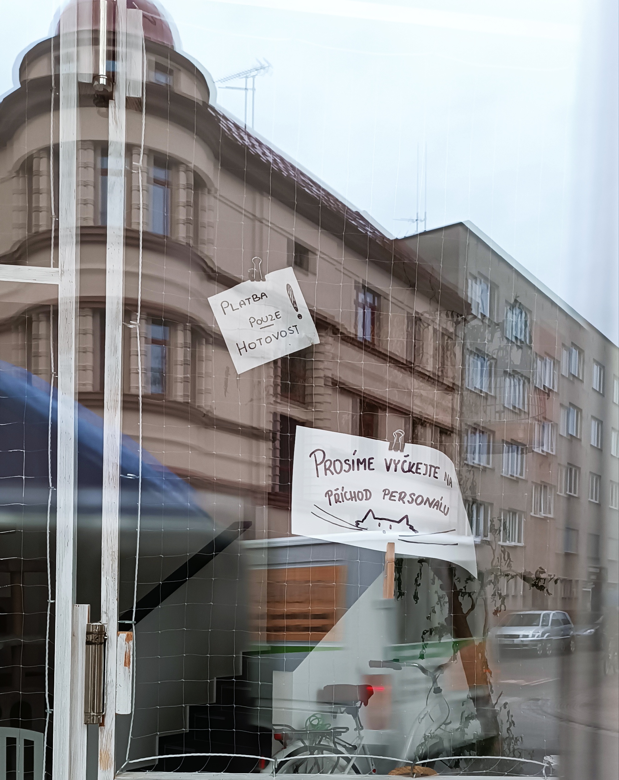 Bystrokočko foto 4